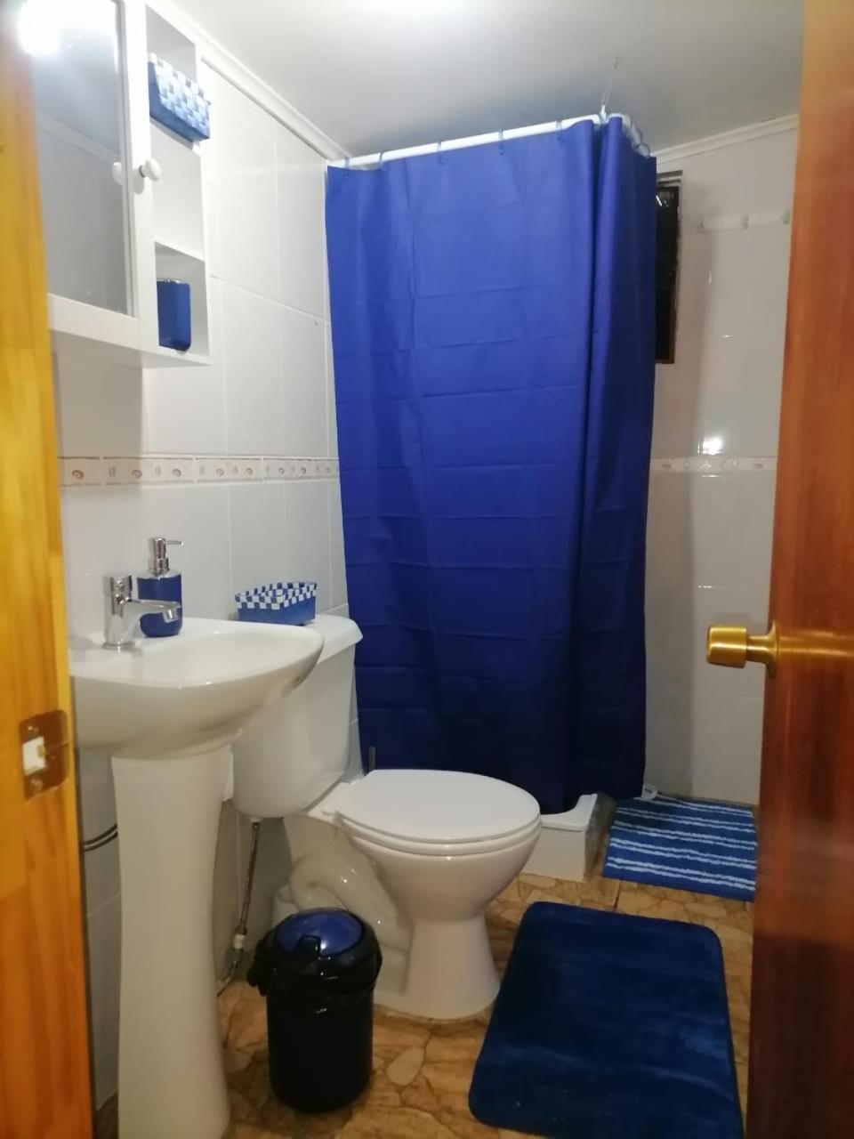 One-Bedroom House photo 2