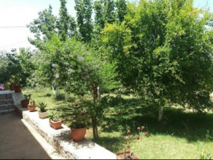 Villa - Photo 48