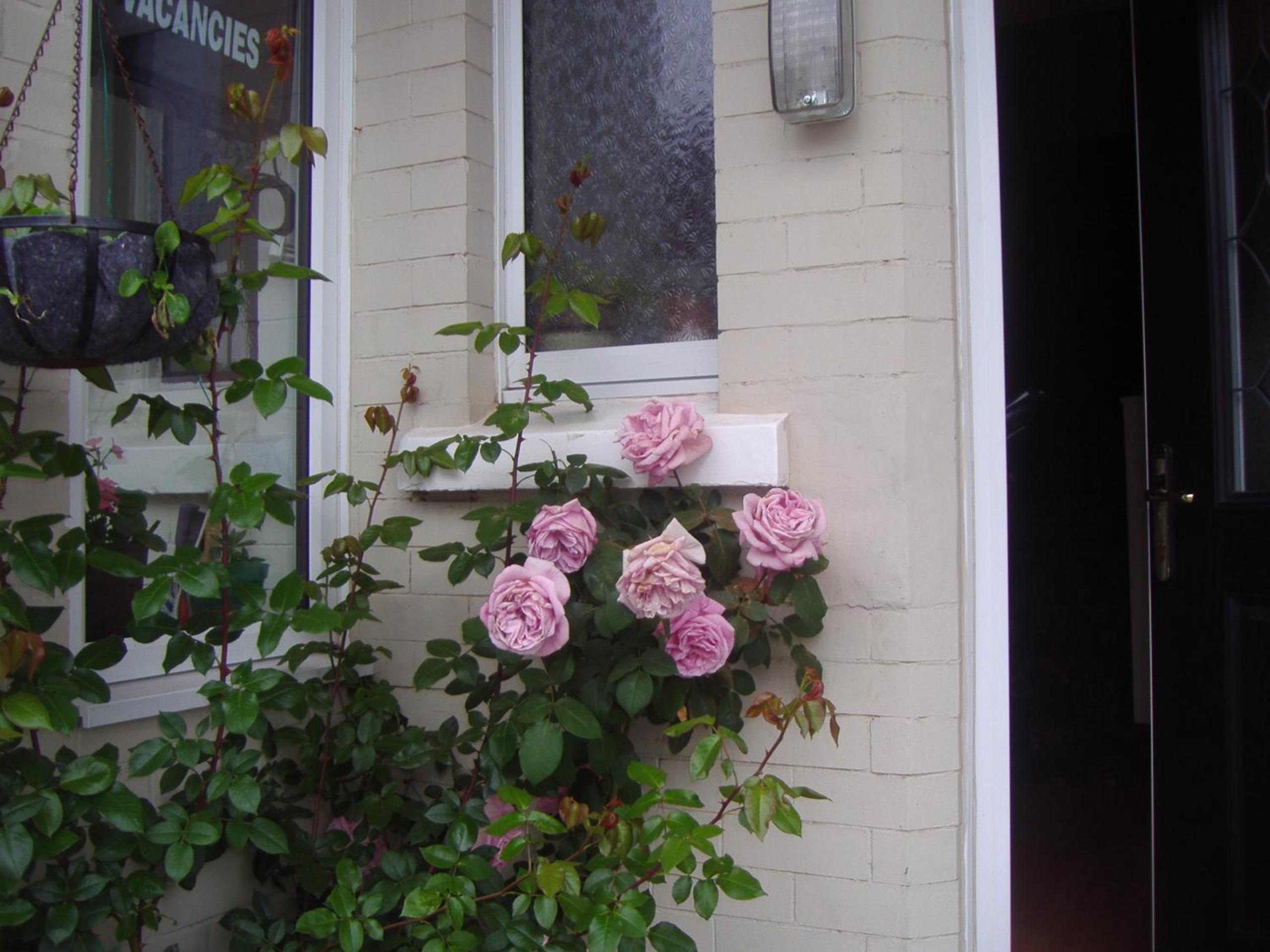 Twin Room - Wheelchair Access with Wet Room - Photo 6