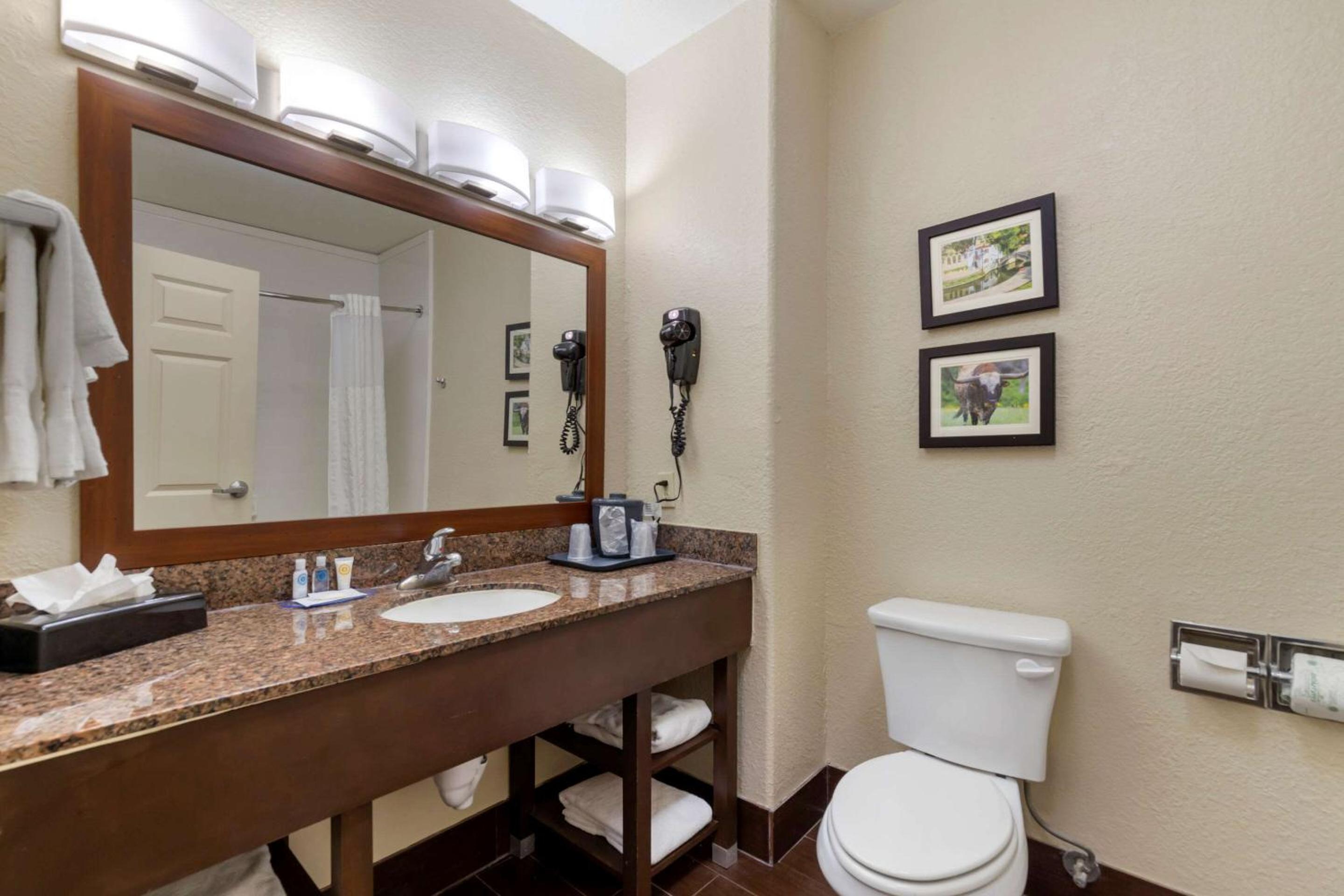 King Room - Non-Smoking - Photo 4