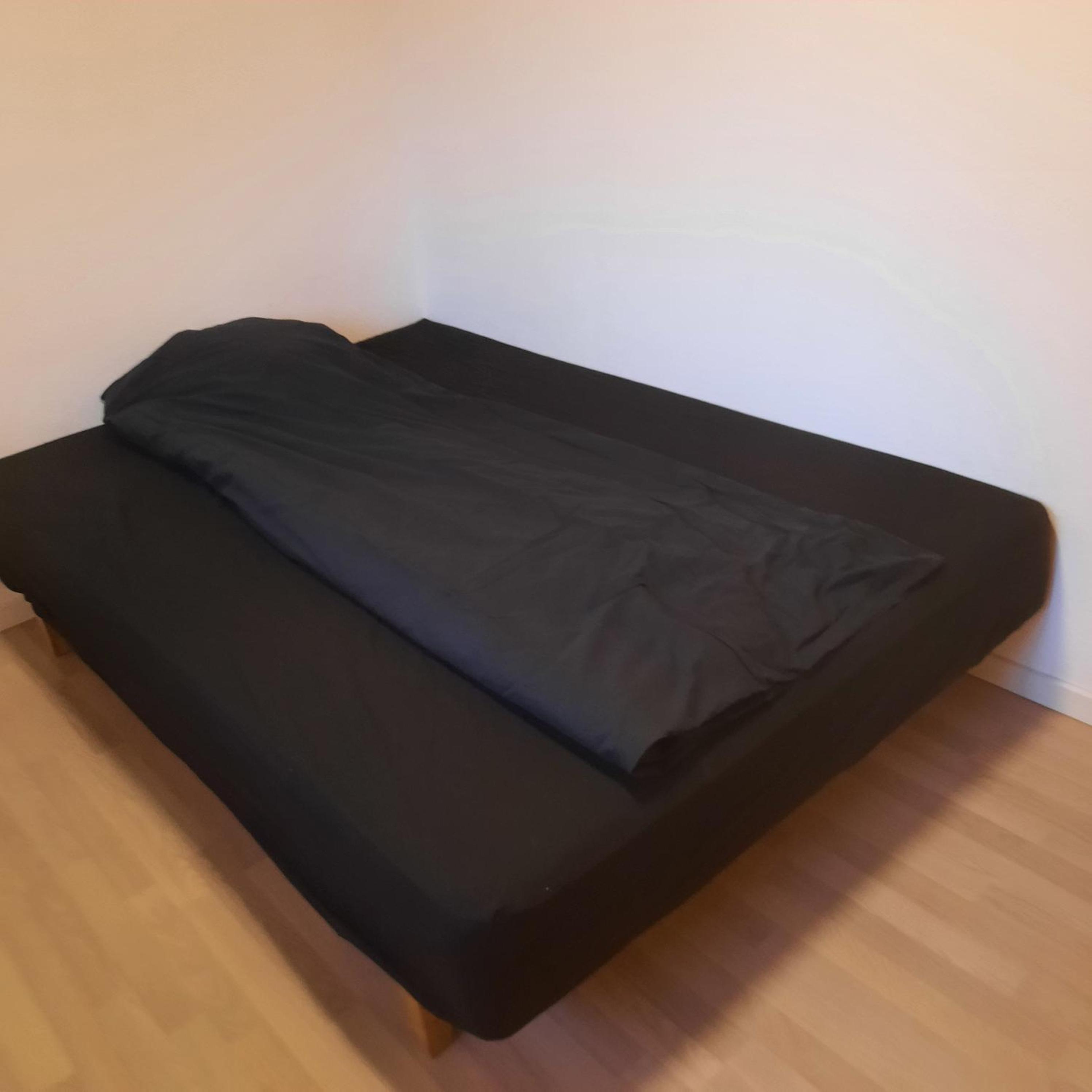 One-Bedroom Apartment photo 3