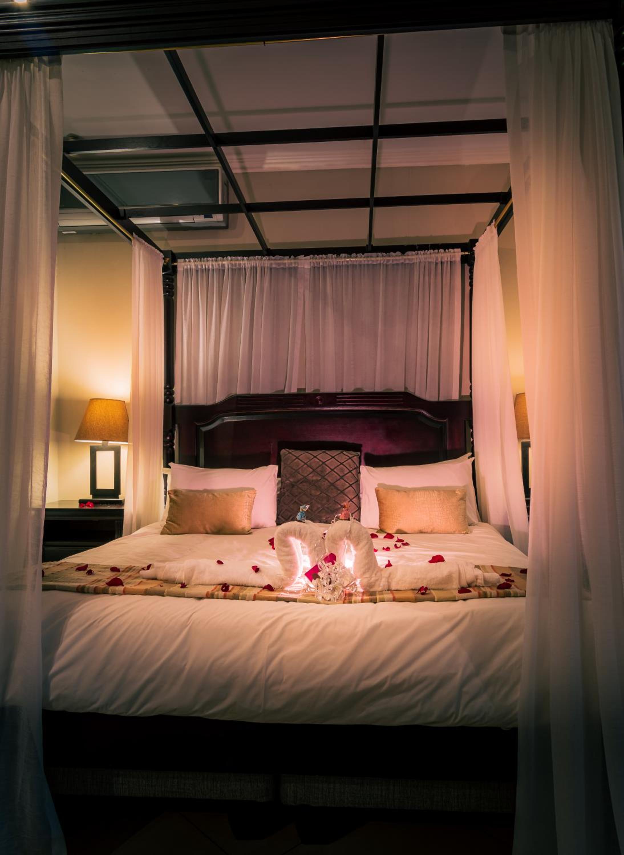 Suite - Photo 1