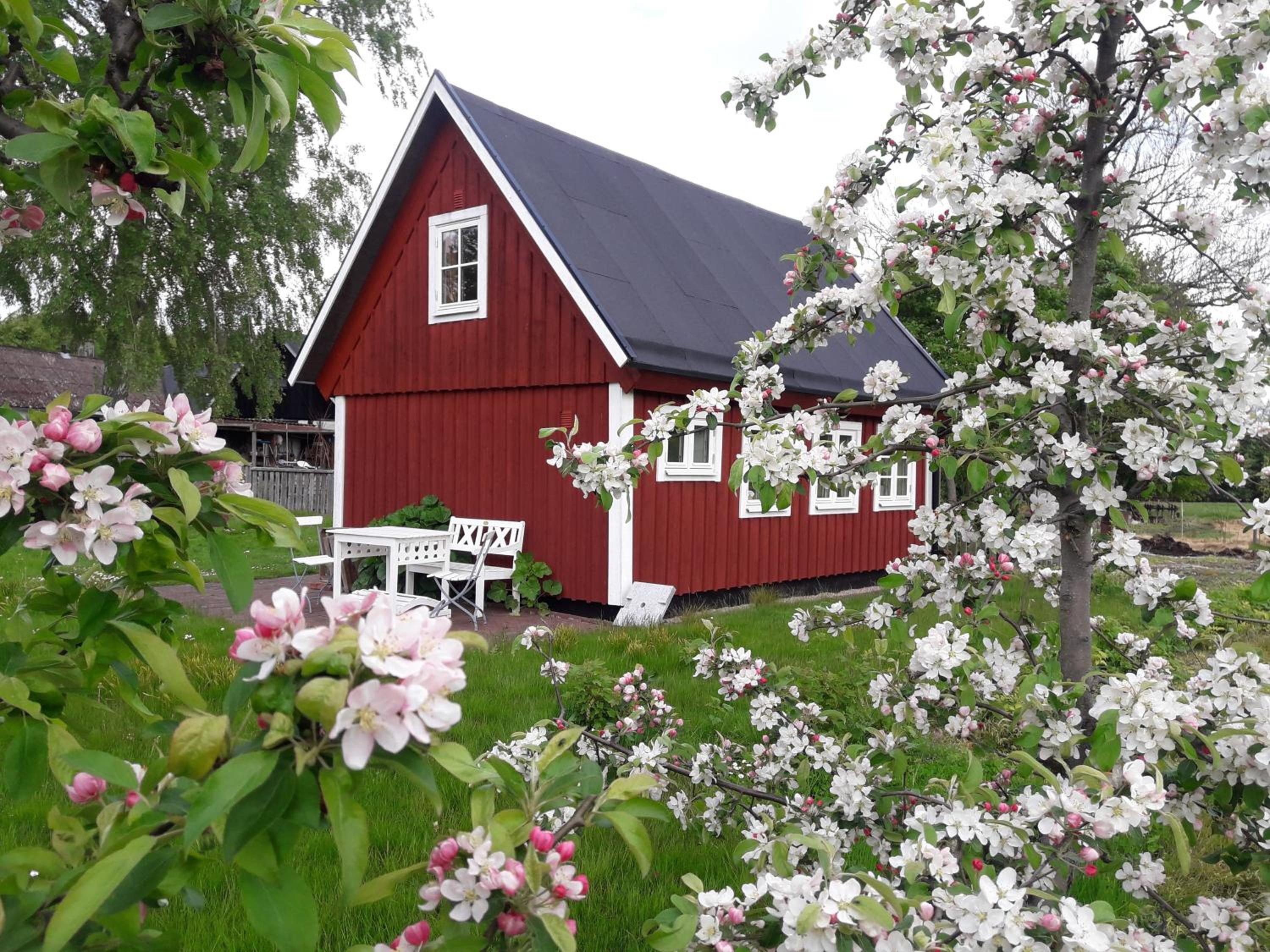 Two-Bedroom House - Photo 2