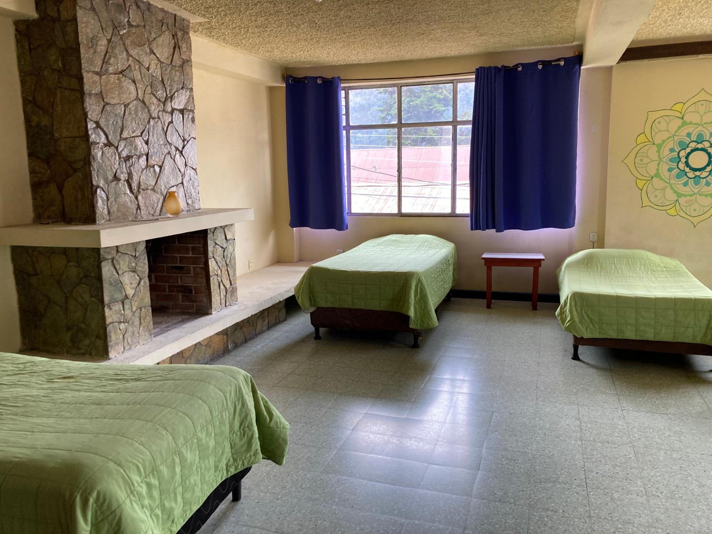 Single Bed in Mixed Dormitory Room photo 3