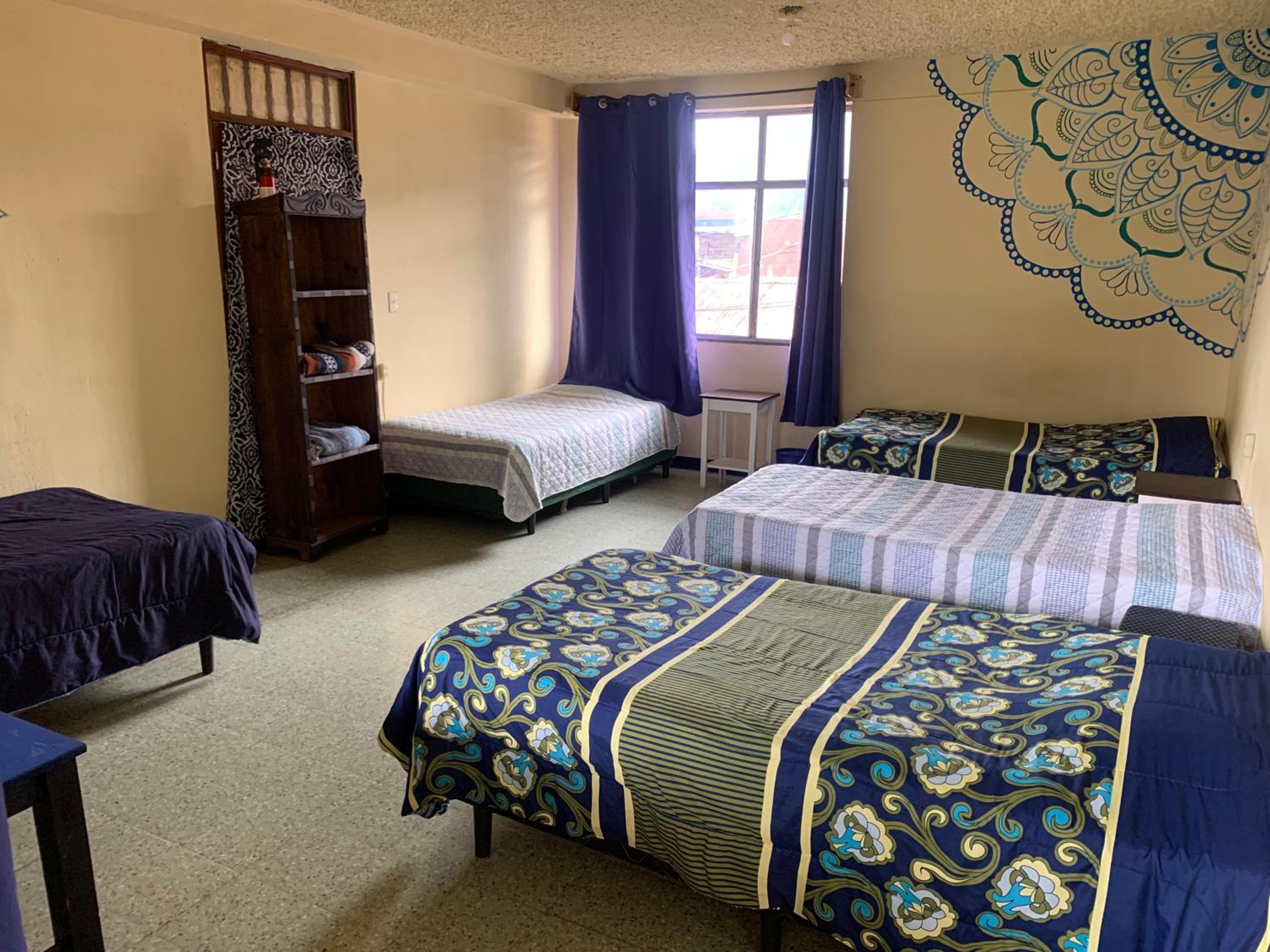 Single Bed in Mixed Dormitory Room photo 1