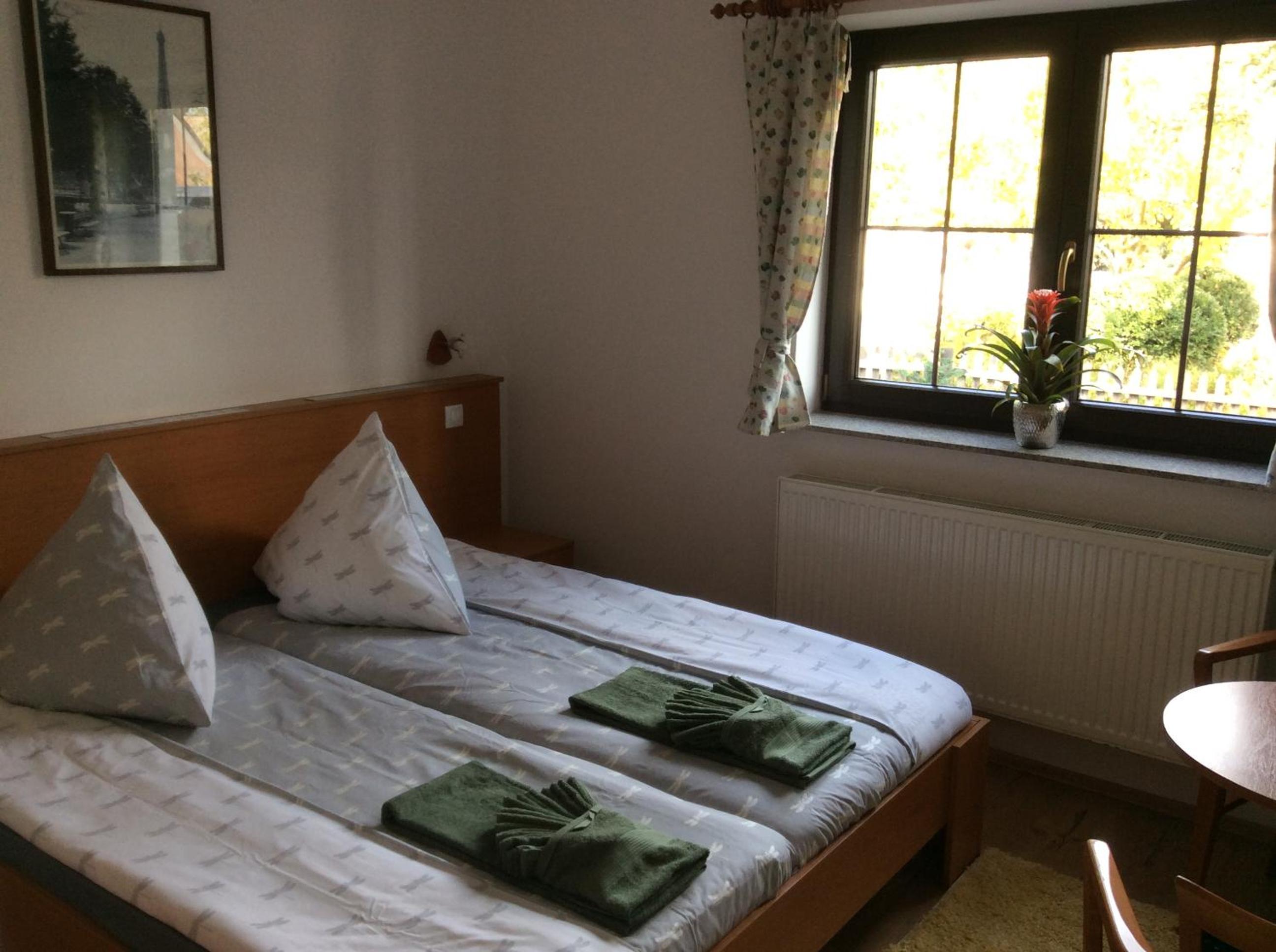 Double or Twin Room photo 3