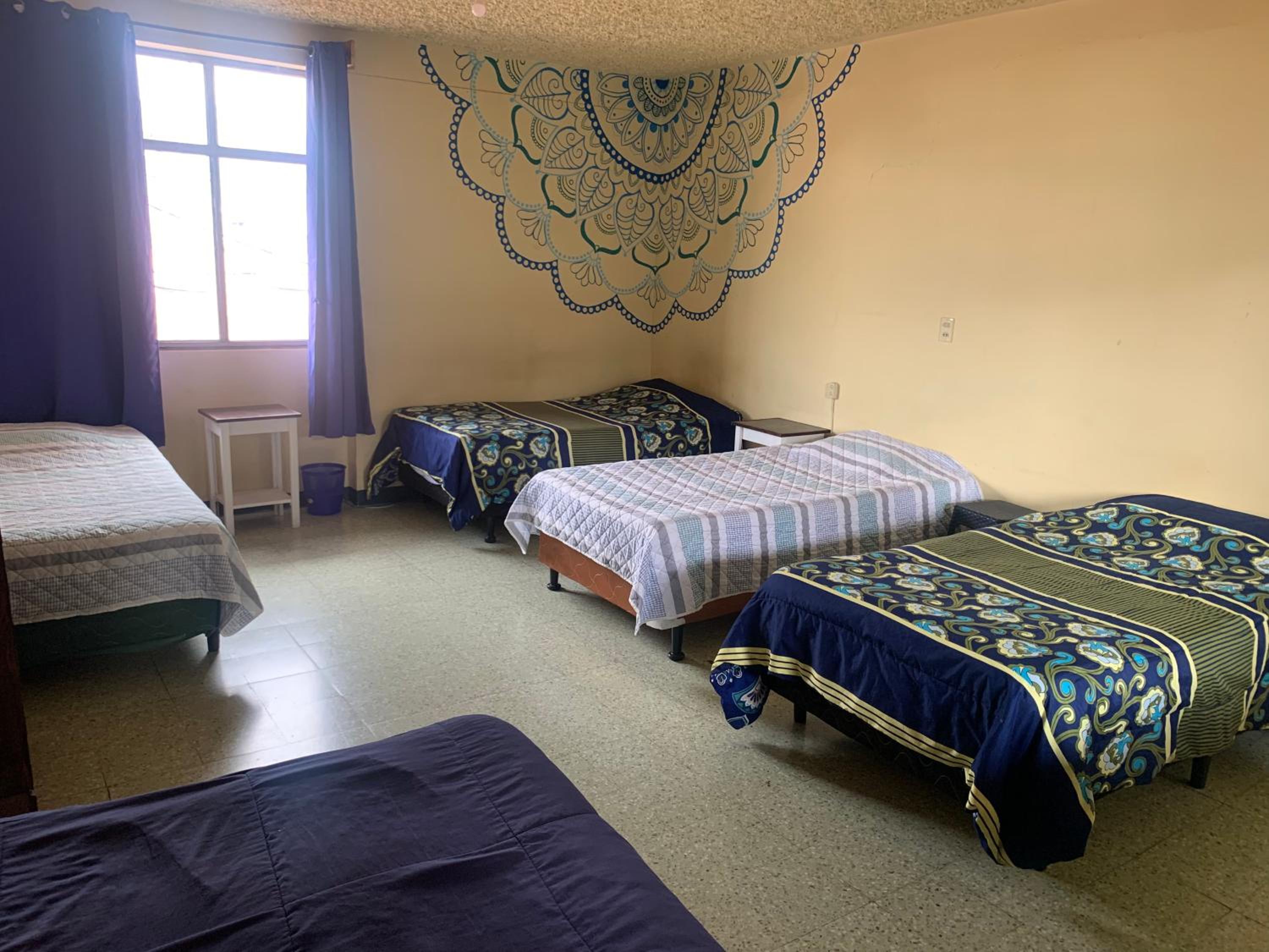 Single Bed in Mixed Dormitory Room photo 2