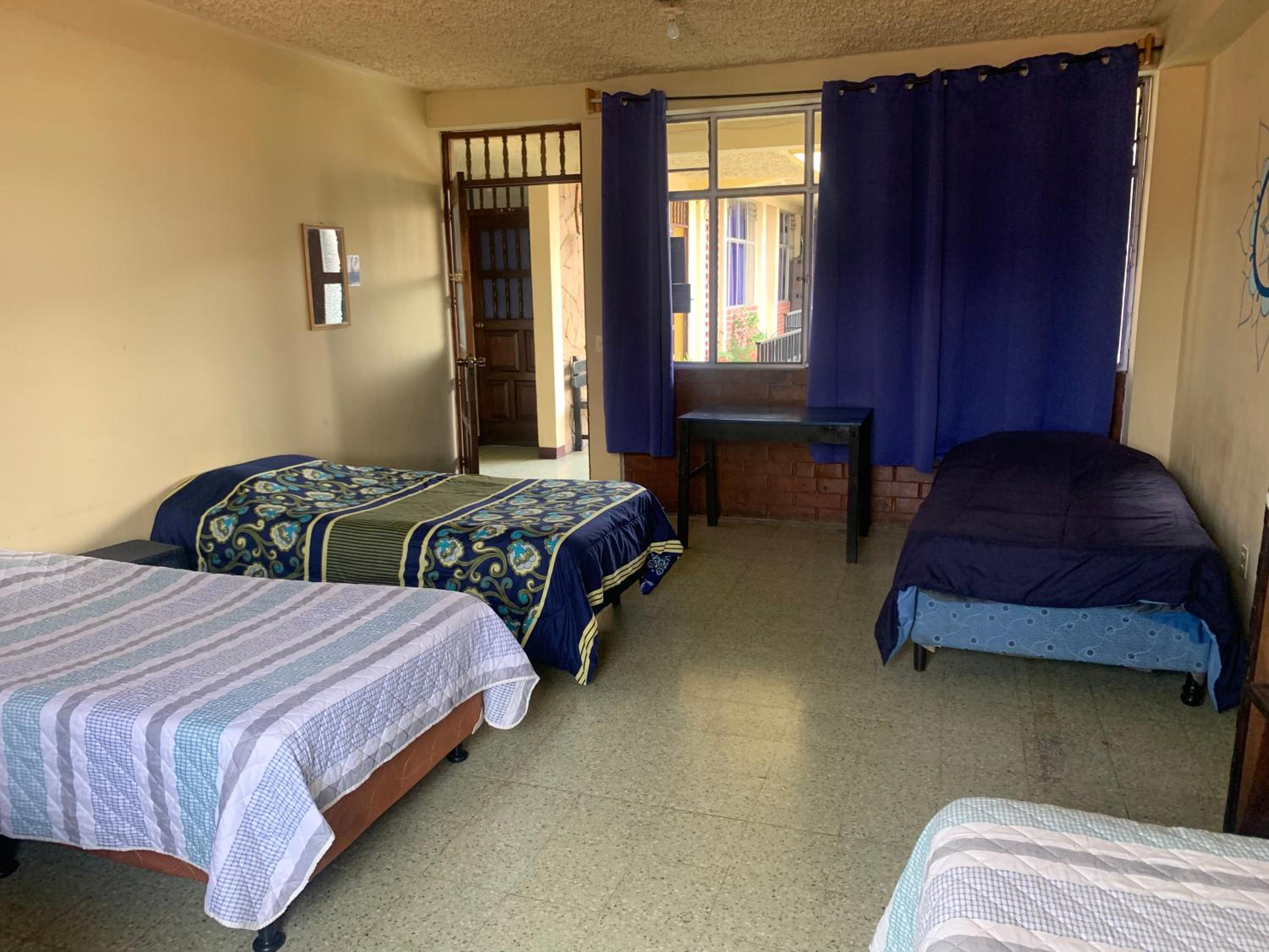 Single Bed in Mixed Dormitory Room photo 3