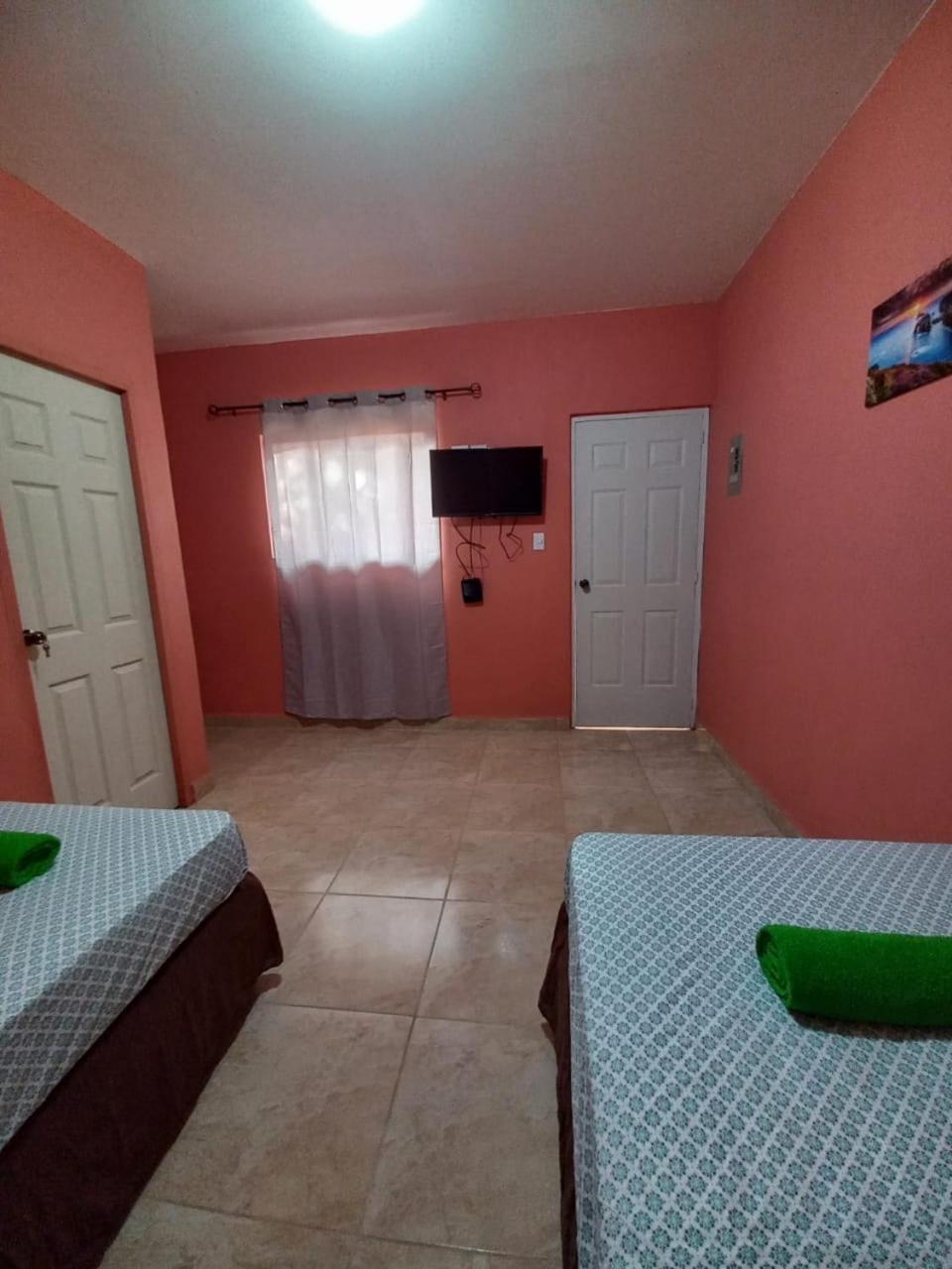 Twin Room photo 3