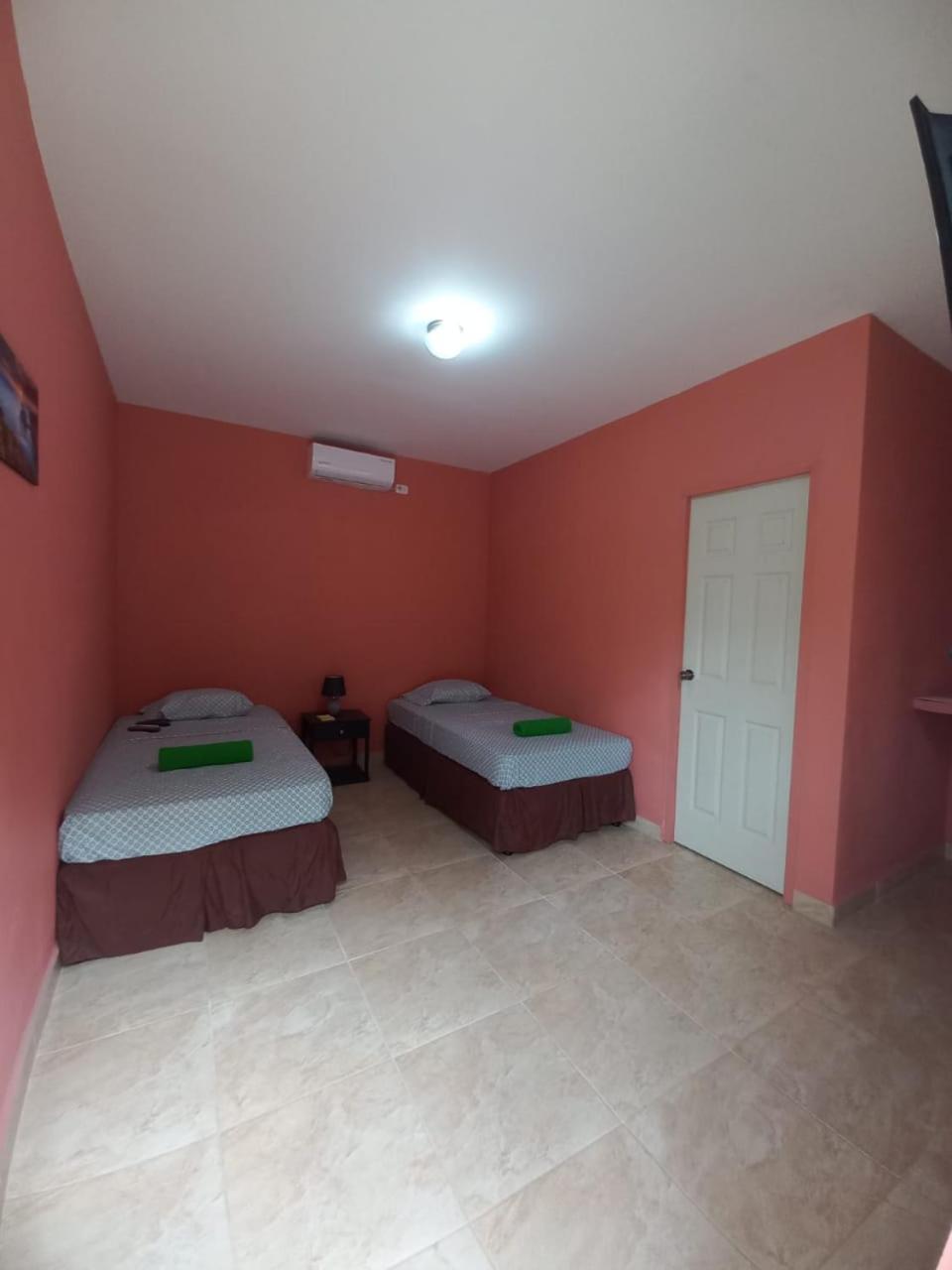 Twin Room photo 2