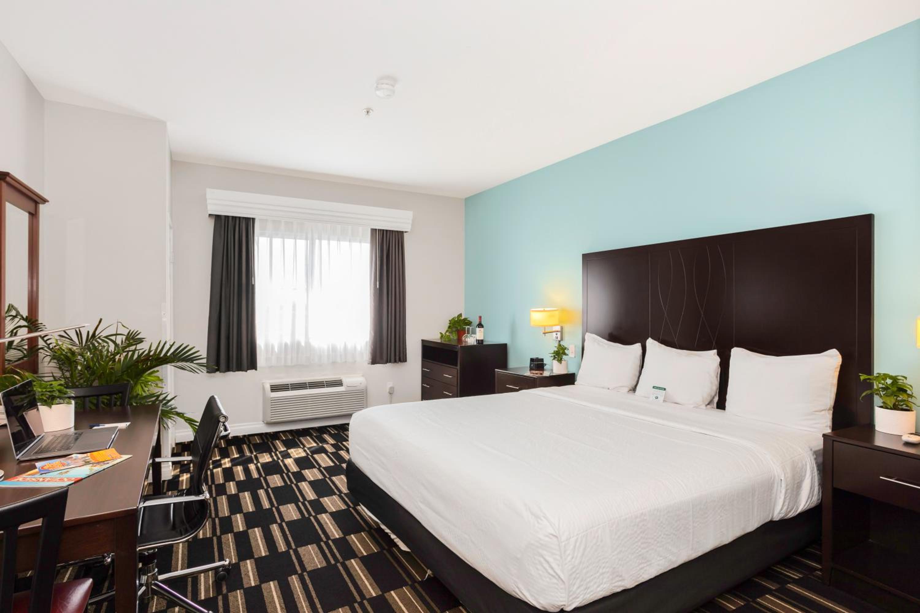 Standard King Room - Photo 1