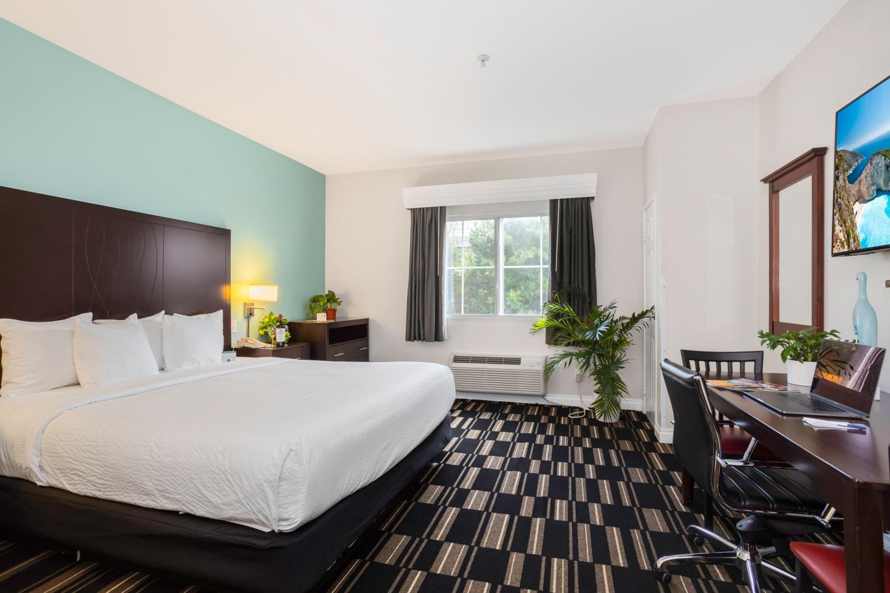 Standard King Room - Photo 6