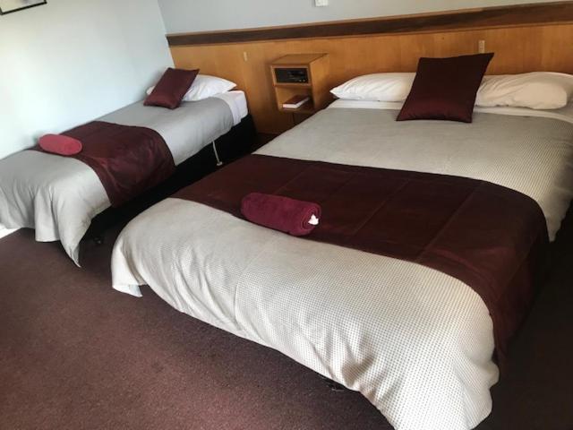 Twin Room photo 2