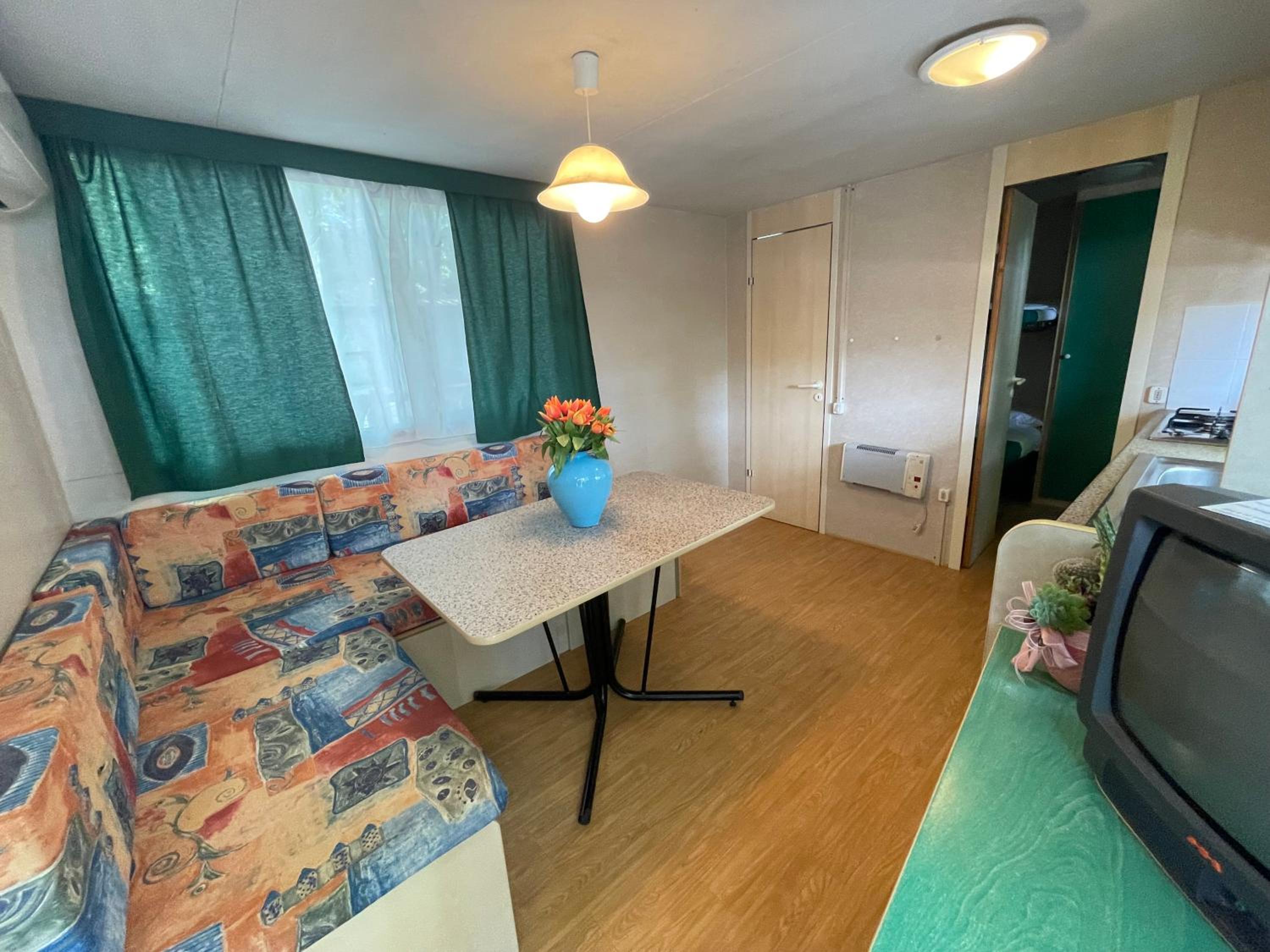 Mobile Home Standard photo 3