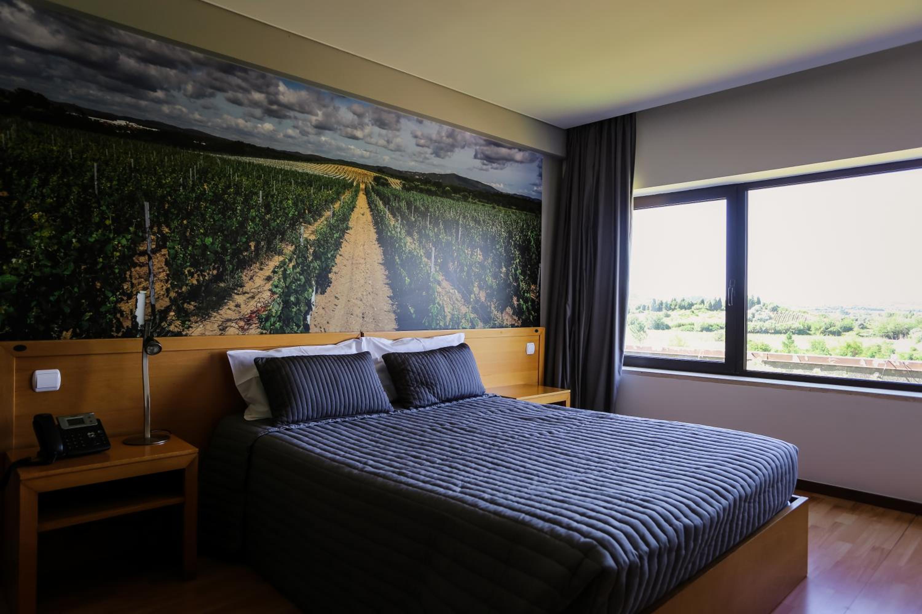 King Room - Photo 1