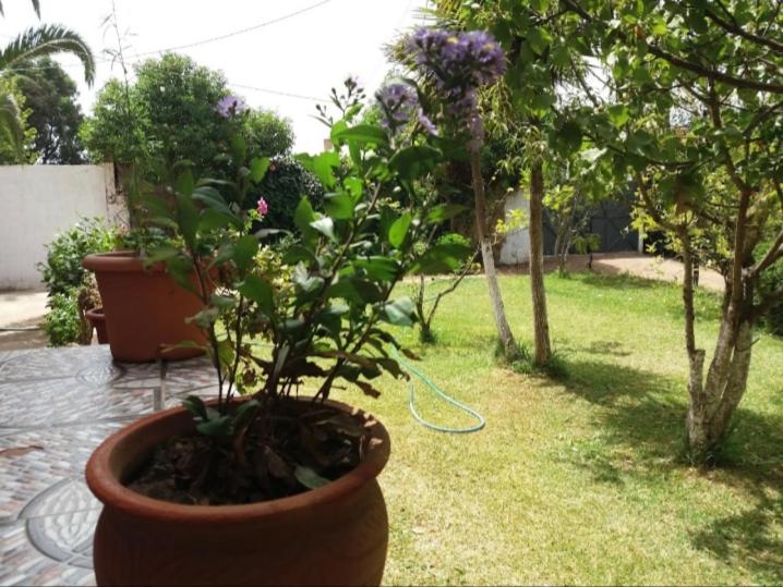 Villa - Photo 46