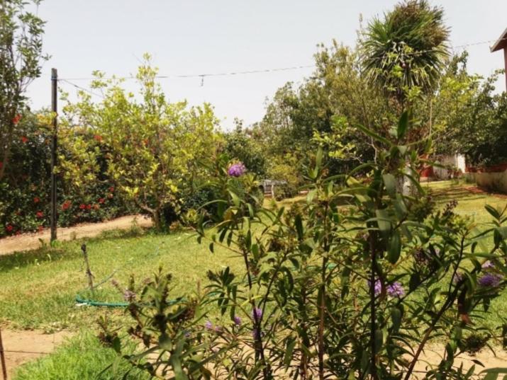 Villa - Photo 47