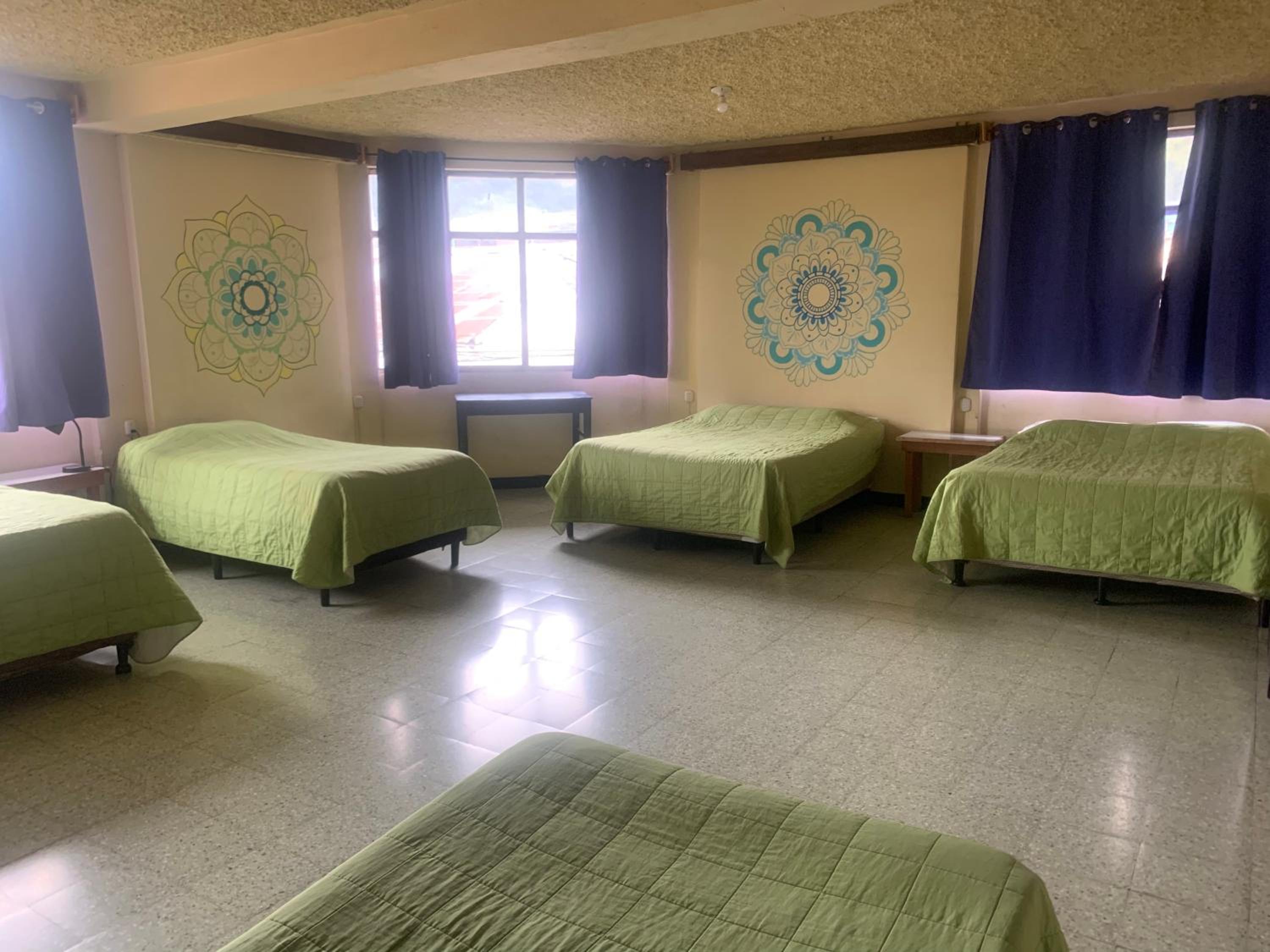 Single Bed in Mixed Dormitory Room photo 1