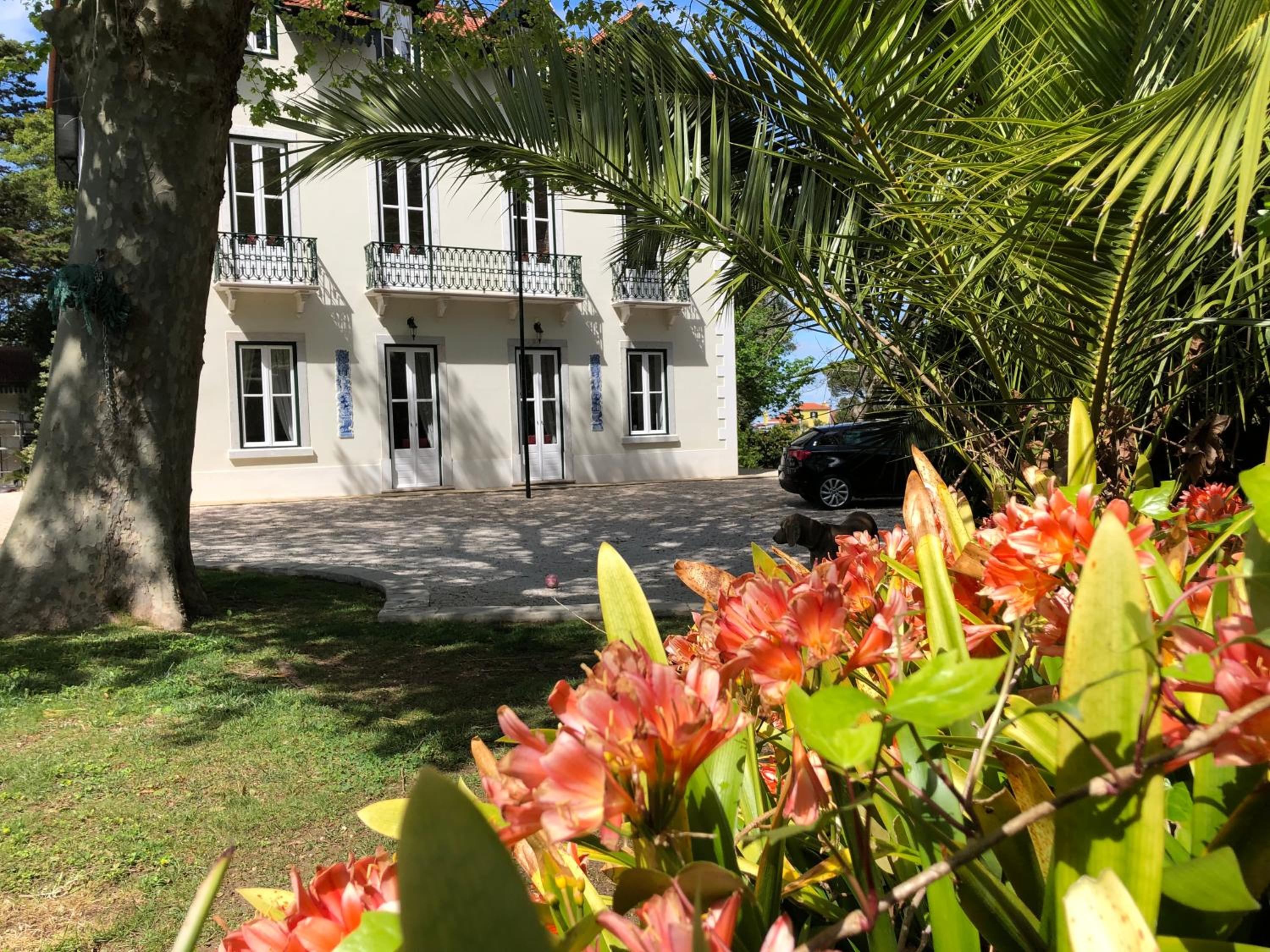 Villa - Photo 46