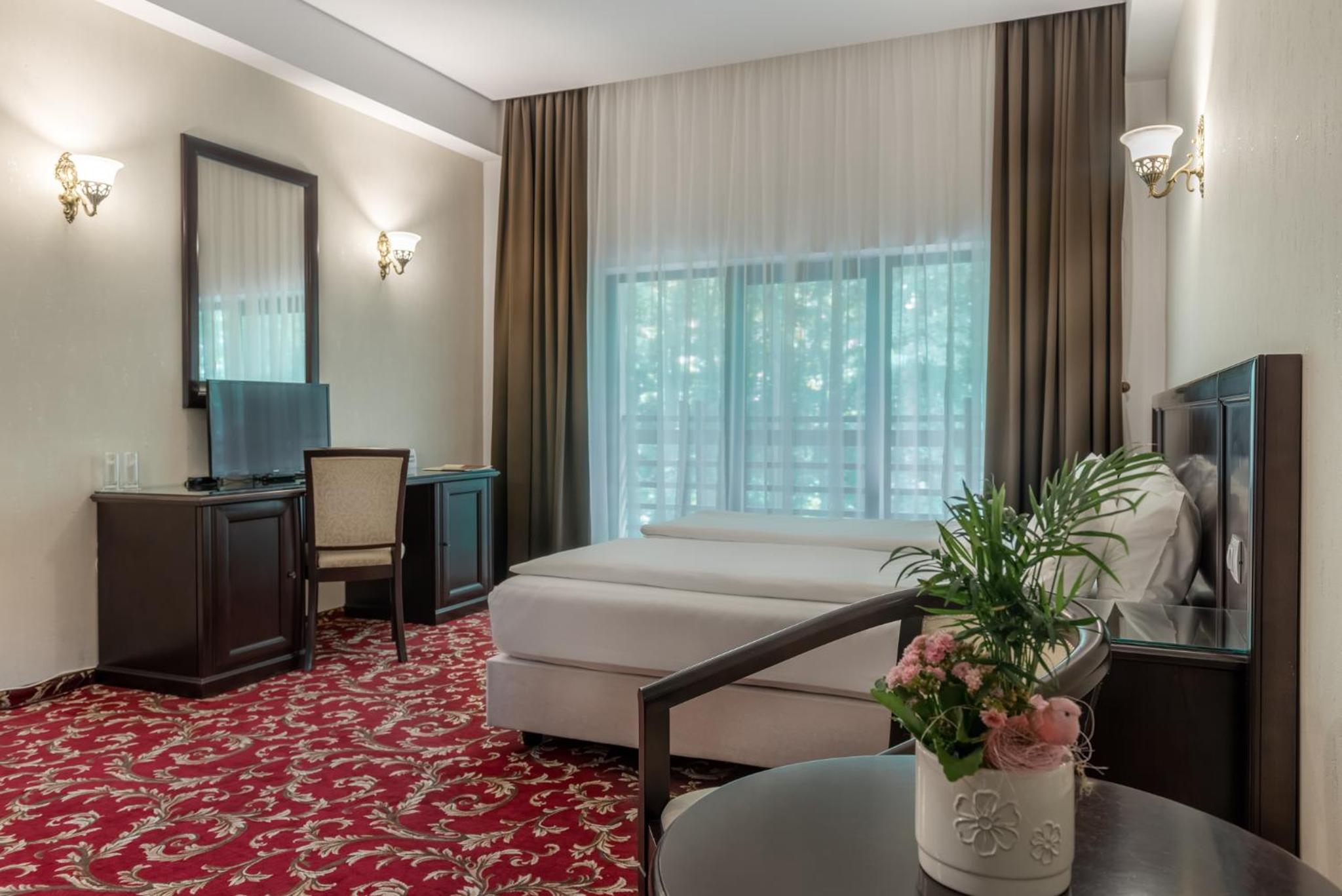 Suite - Photo 11