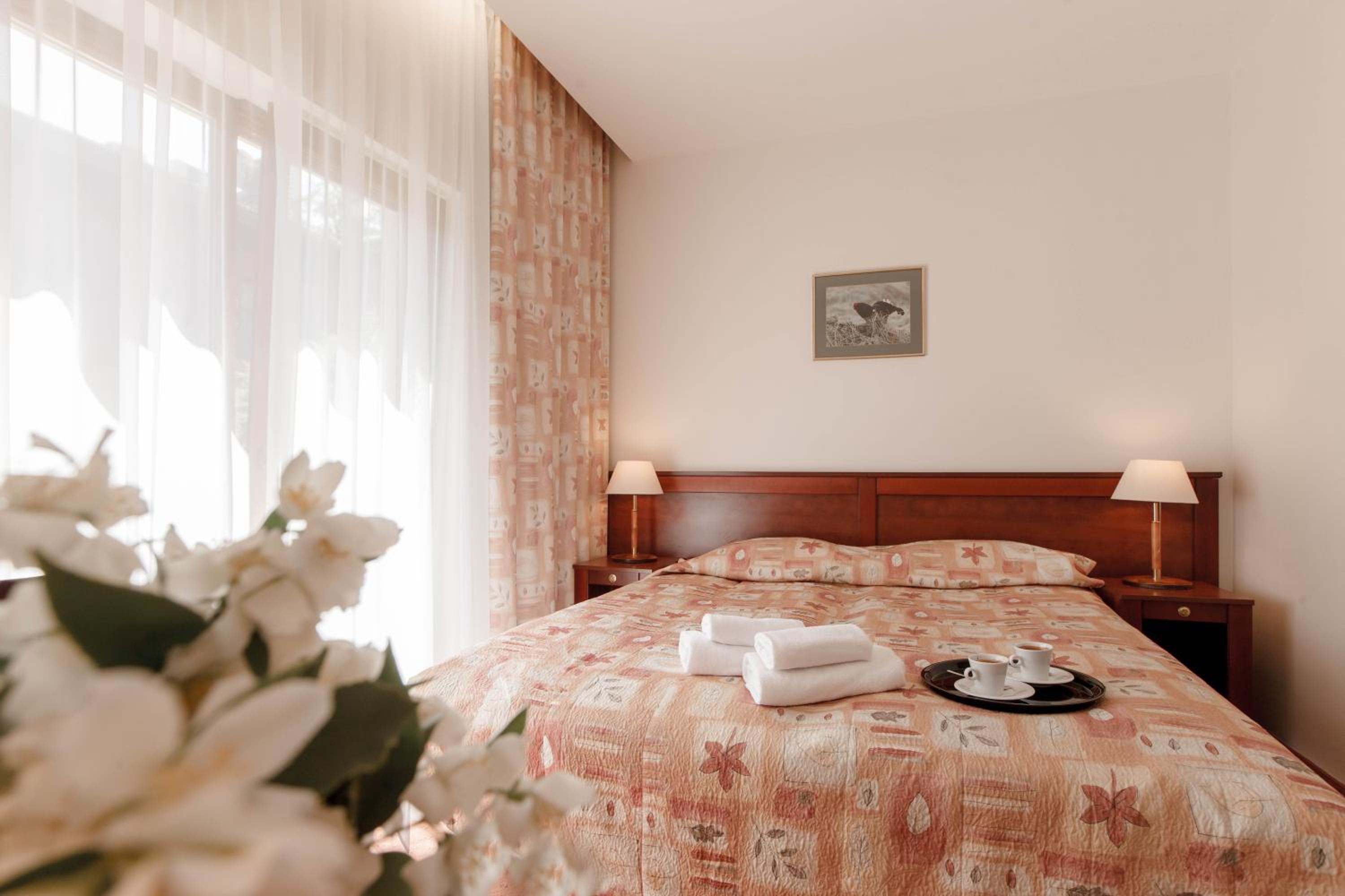 Double or Twin Room photo 1