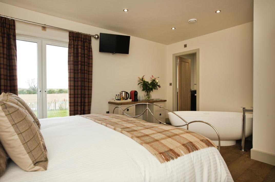 Superior King Room photo 1