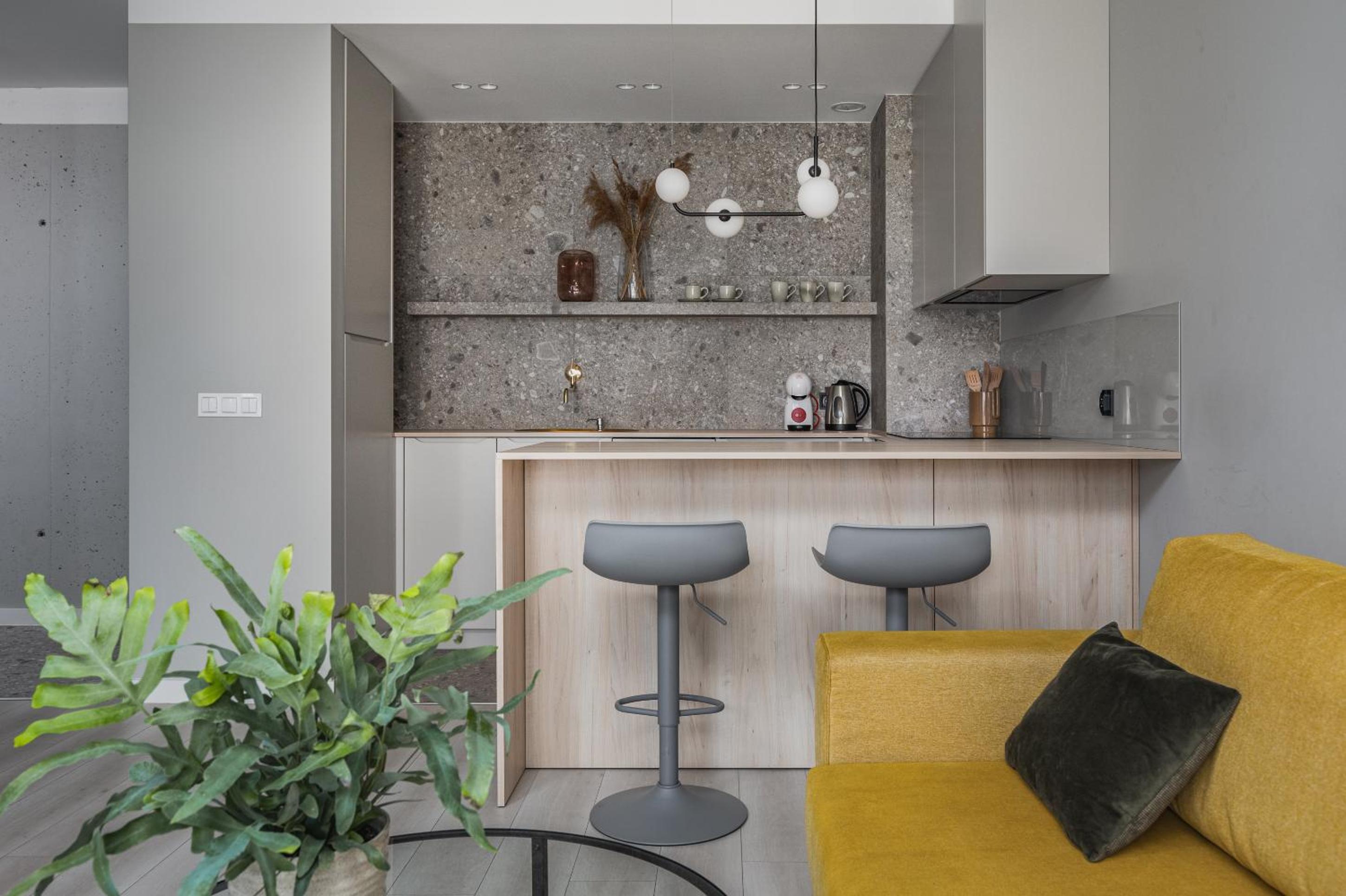 One-Bedroom Apartment - Photo 4