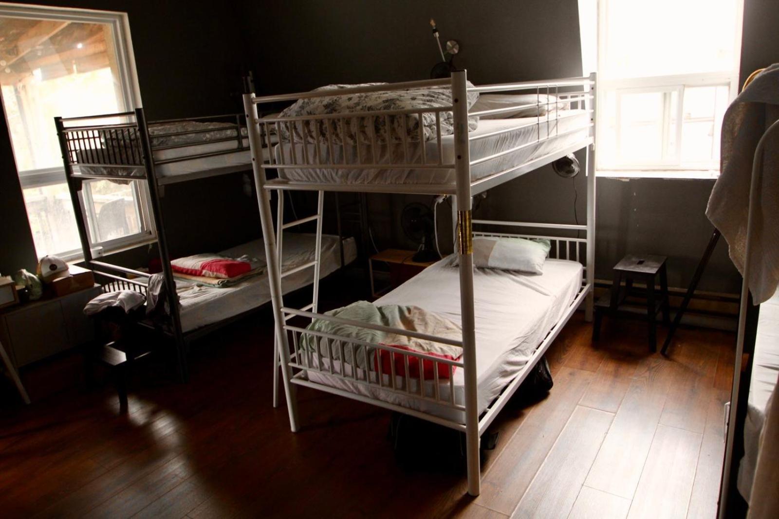 Bed in 8-Bed Mixed Dormitory Room