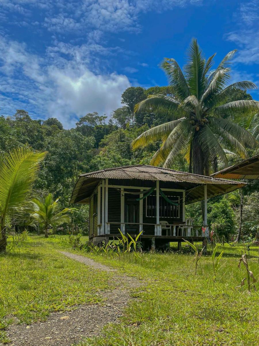 Bungalow with Sea View photo 3