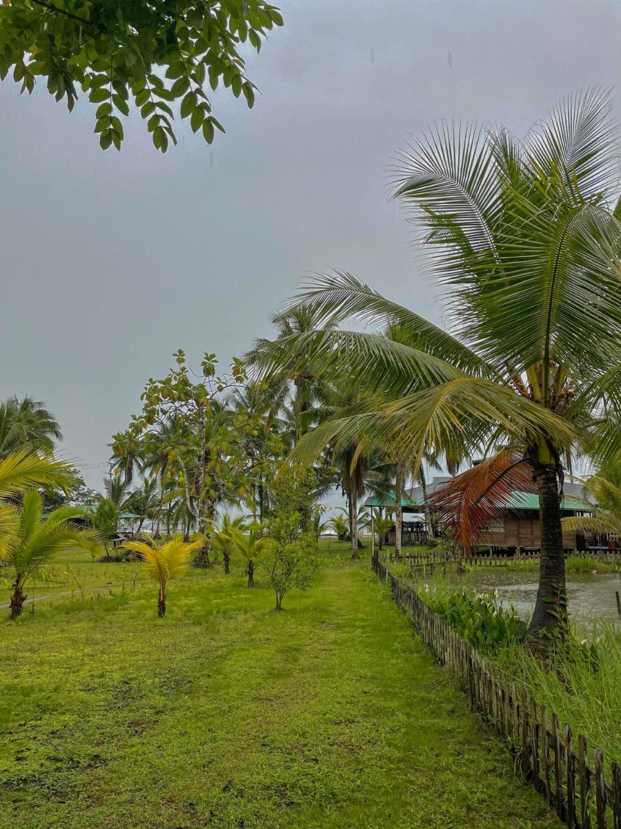 Bungalow with Garden View photo 1