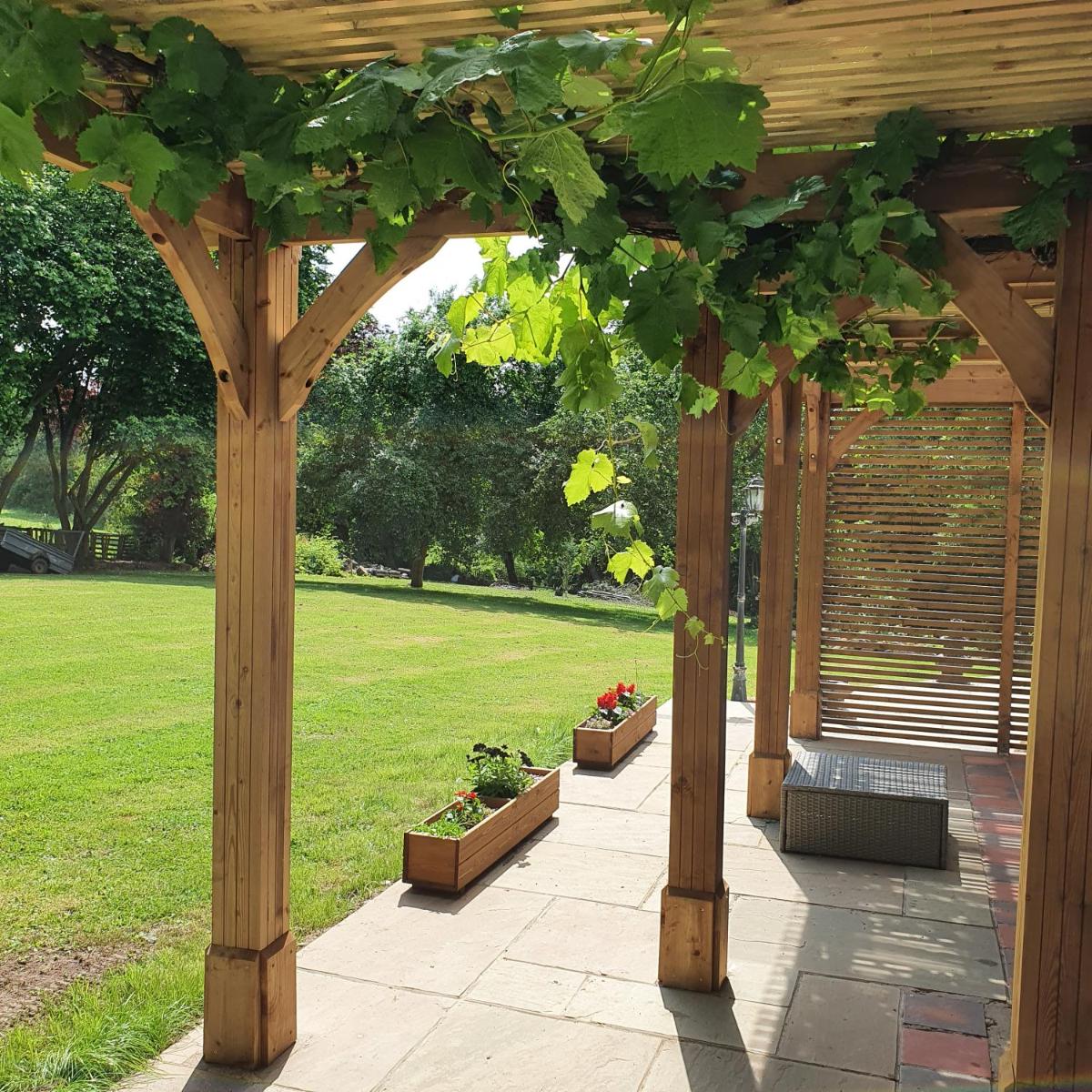 King Room with Garden View photo 1