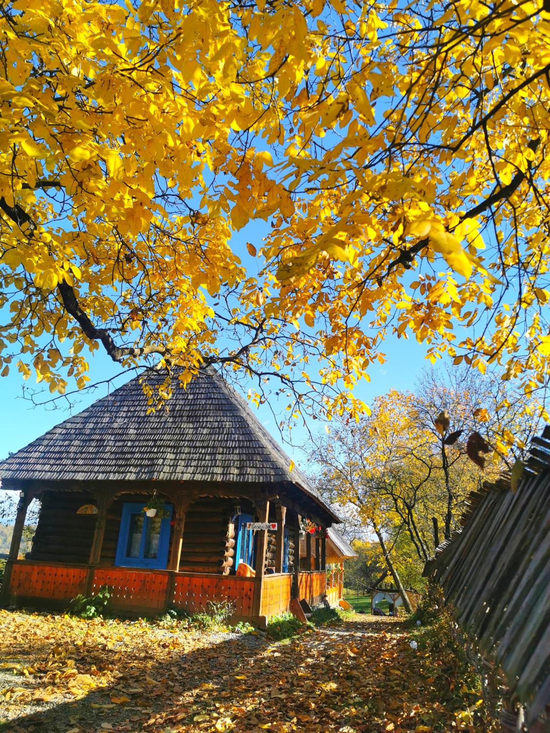 One-Bedroom Chalet - Photo 5