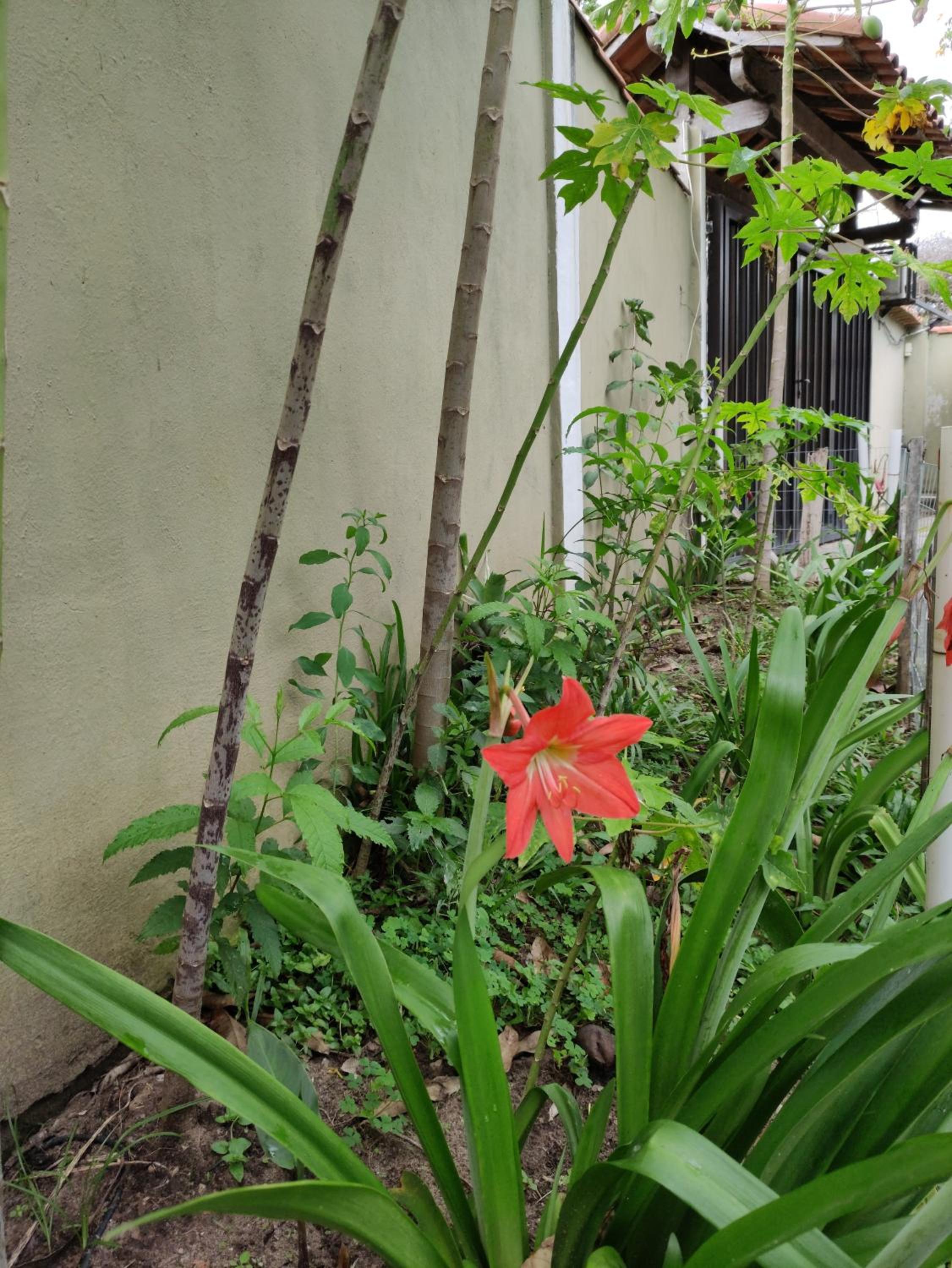 Superior Villa - Photo 4