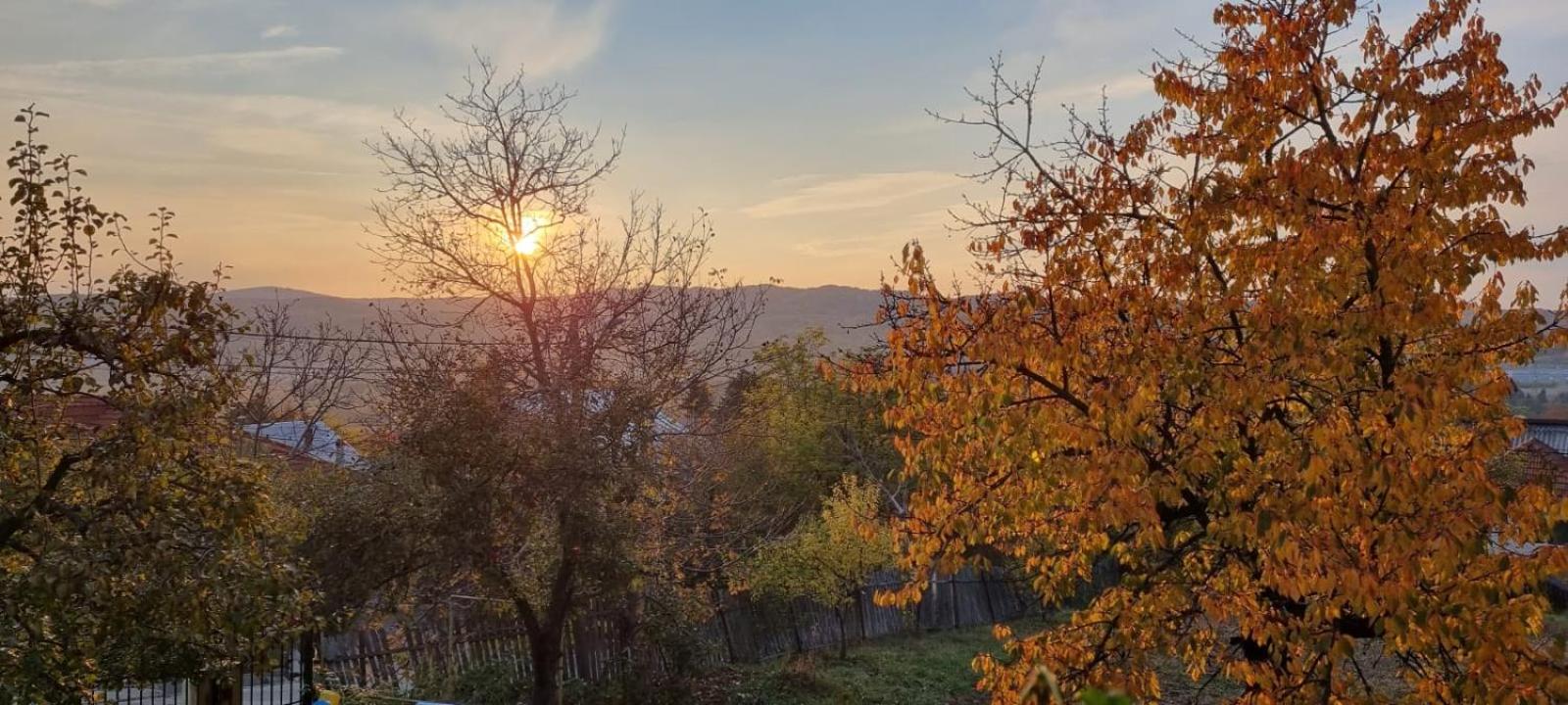 Villa - Photo 34