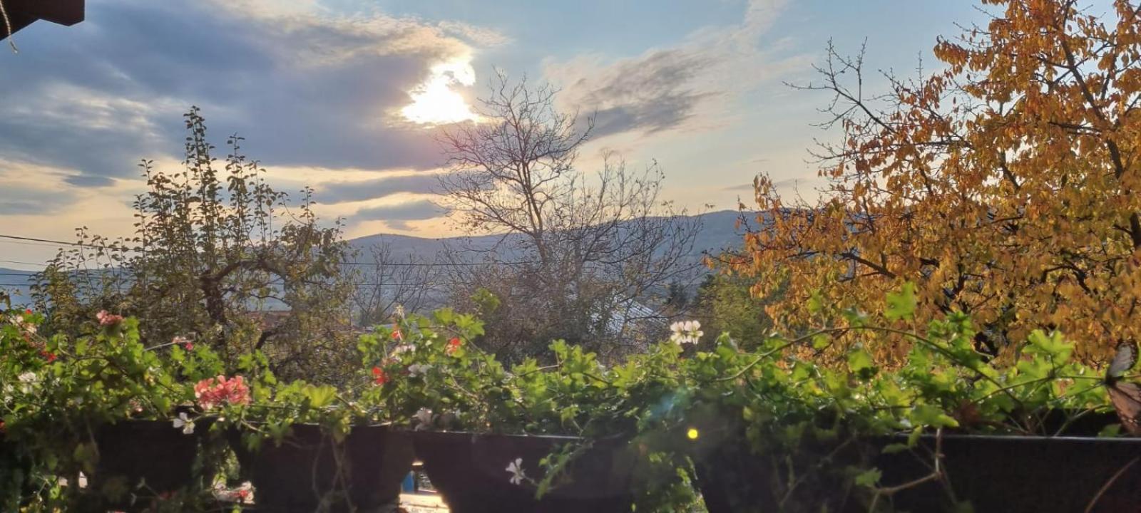 Villa - Photo 53