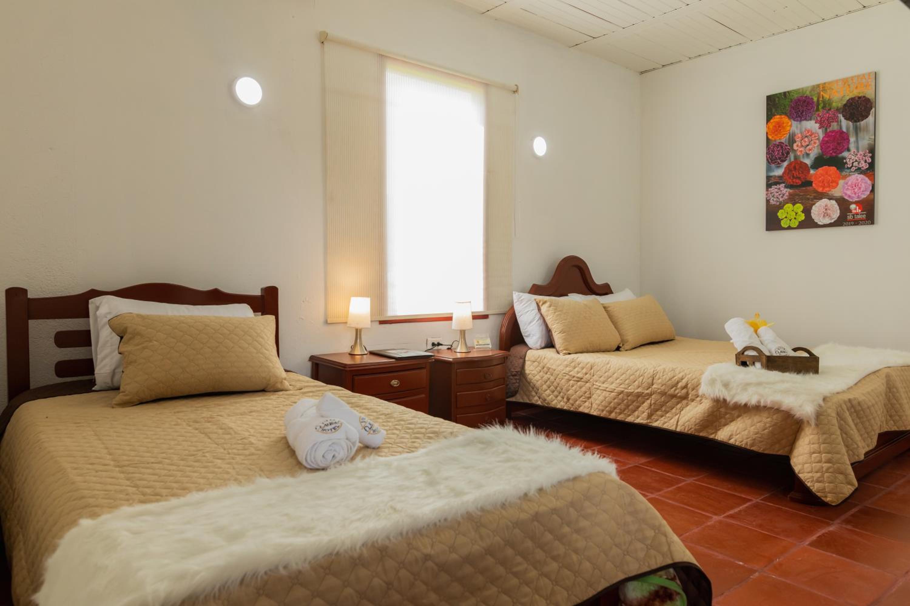 Triple Room photo 2