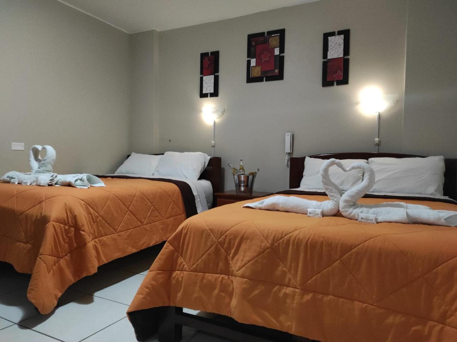 Twin Room photo 2