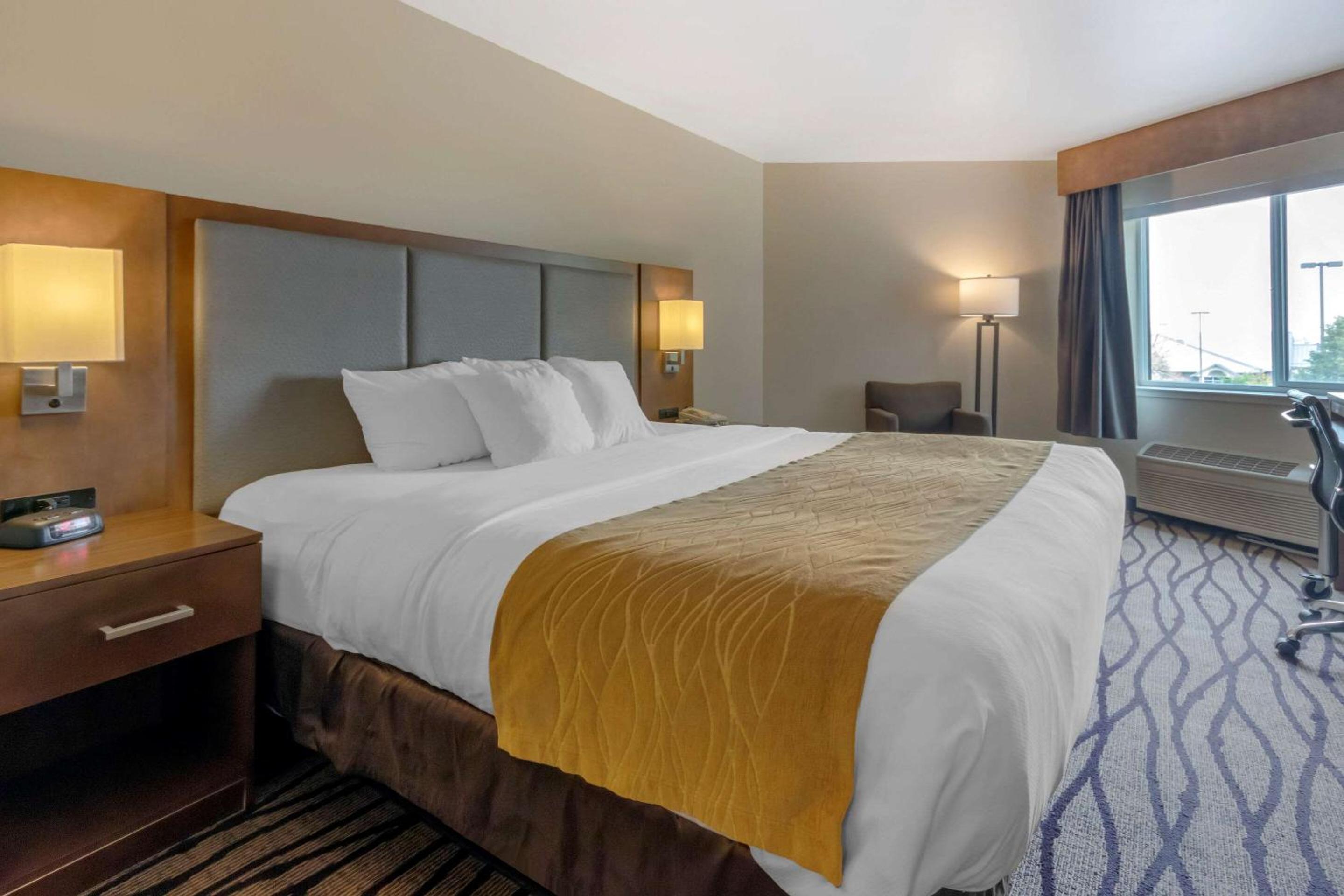 King Room - Non-Smoking - Photo 1