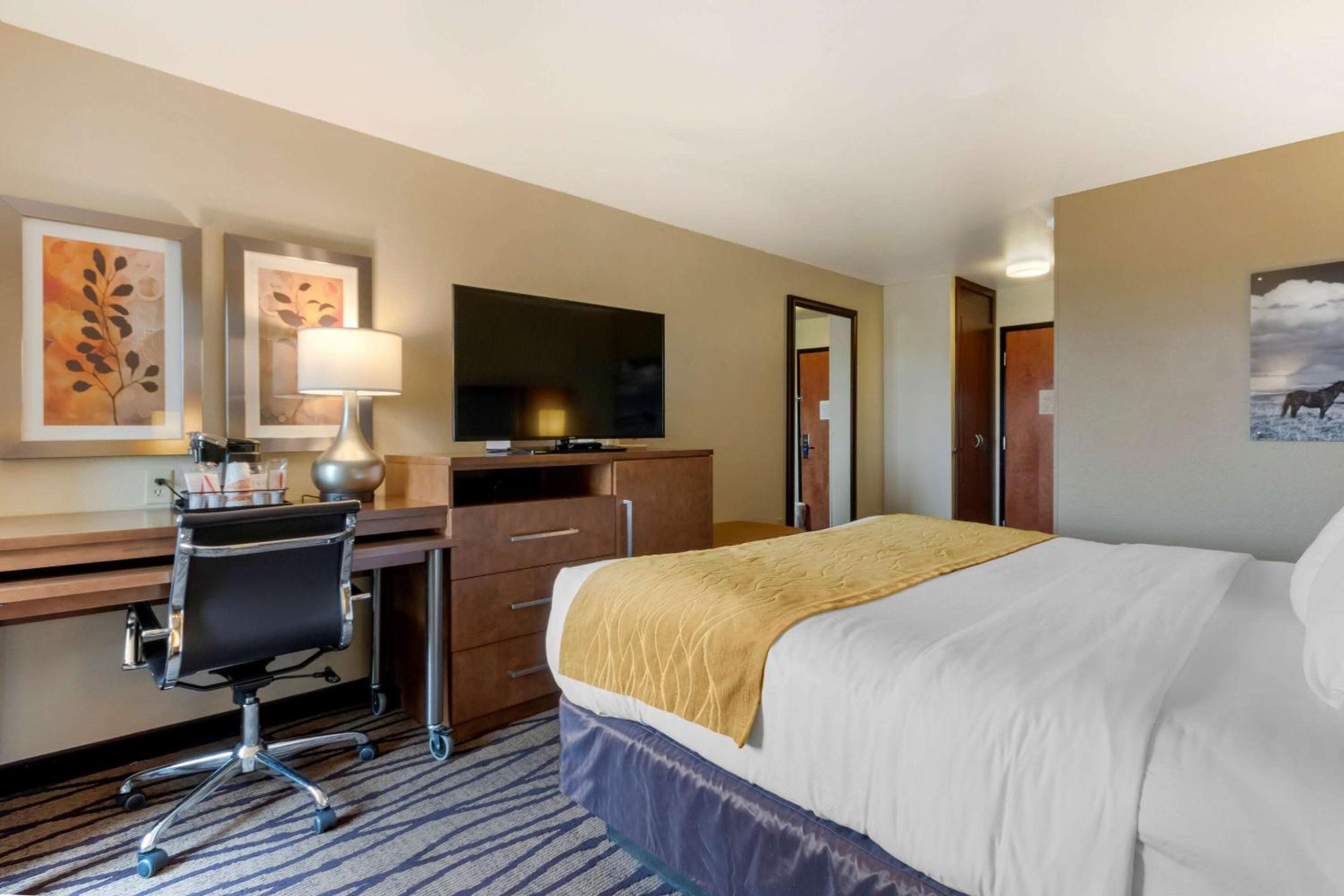 King Room - Non-Smoking - Photo 2