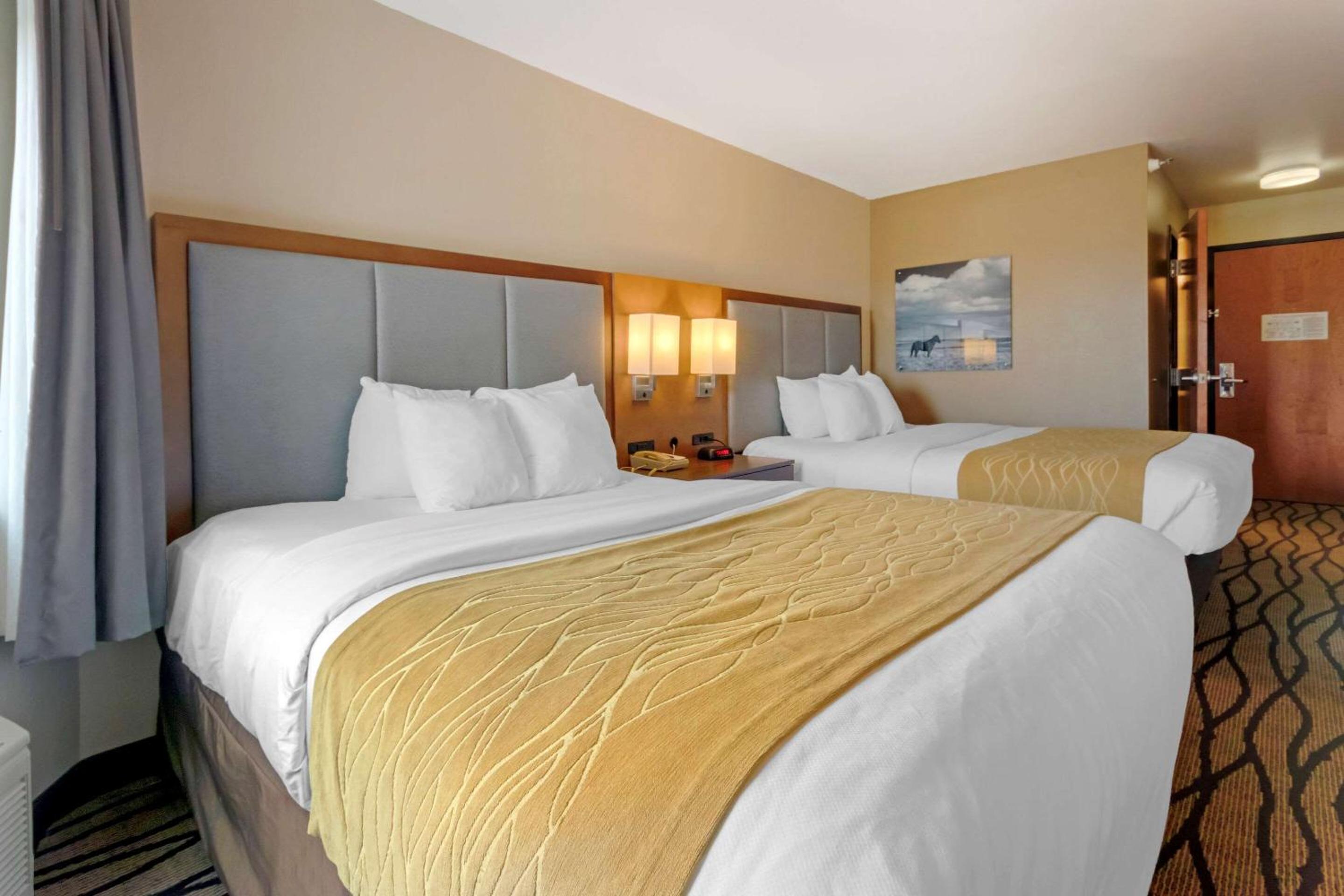 Queen Room with Two Queen Beds - Non-Smoking - Photo 3