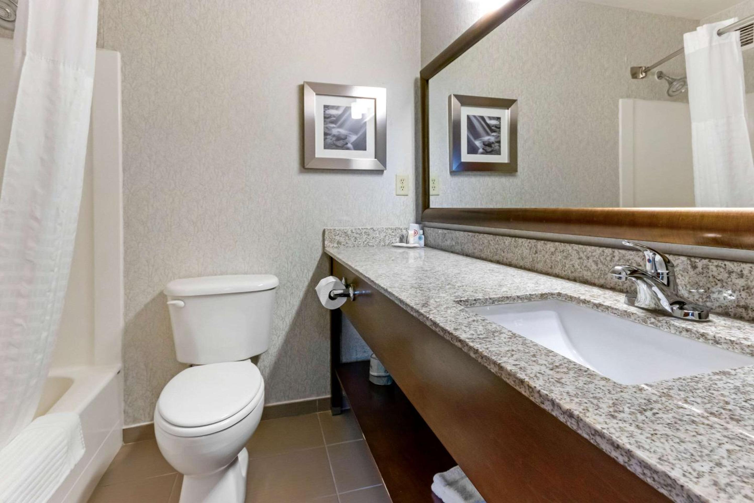 Buisiness King Suite - Non-Smoking photo 3