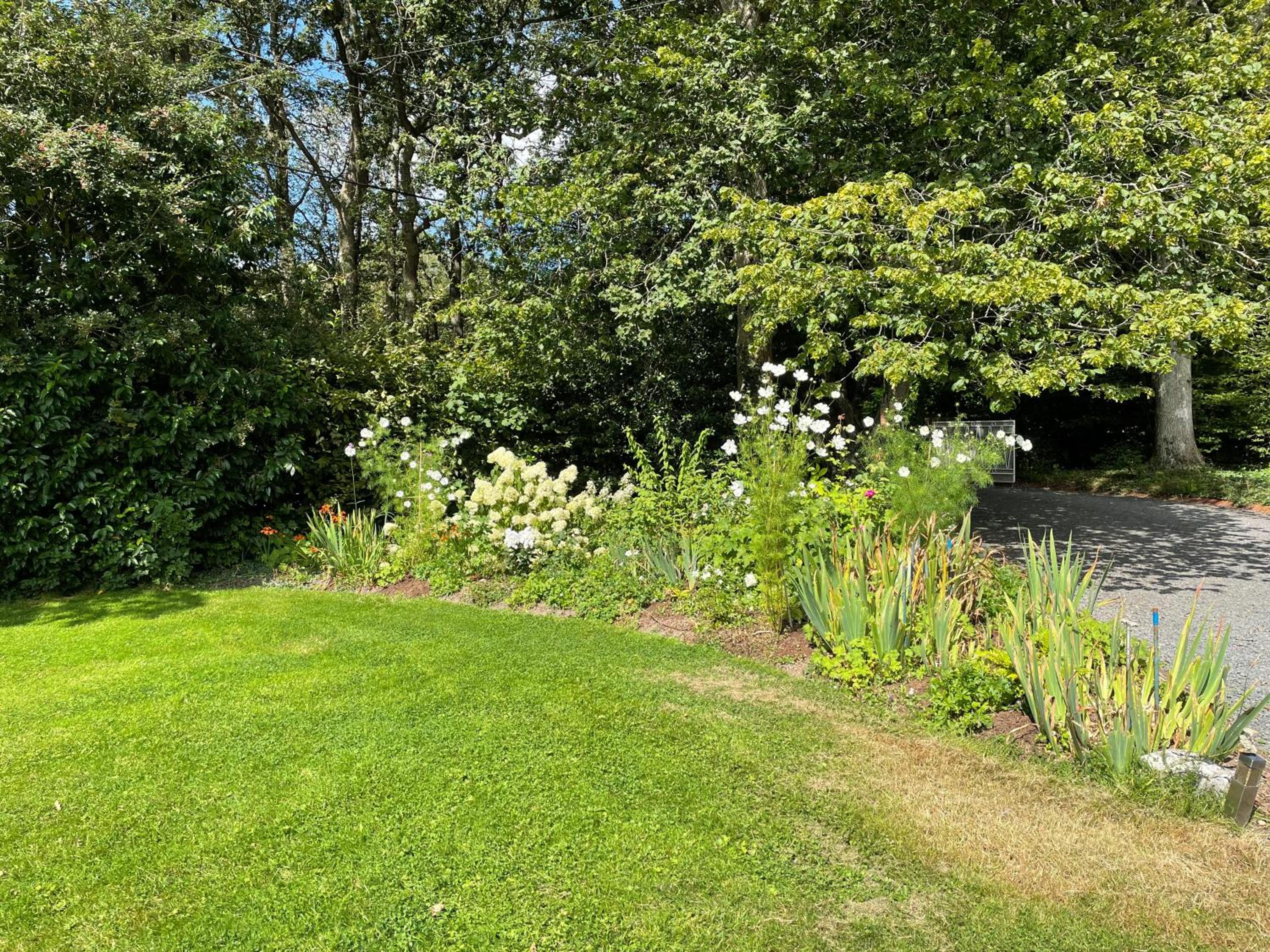  King Size Room with Garden View photo 3