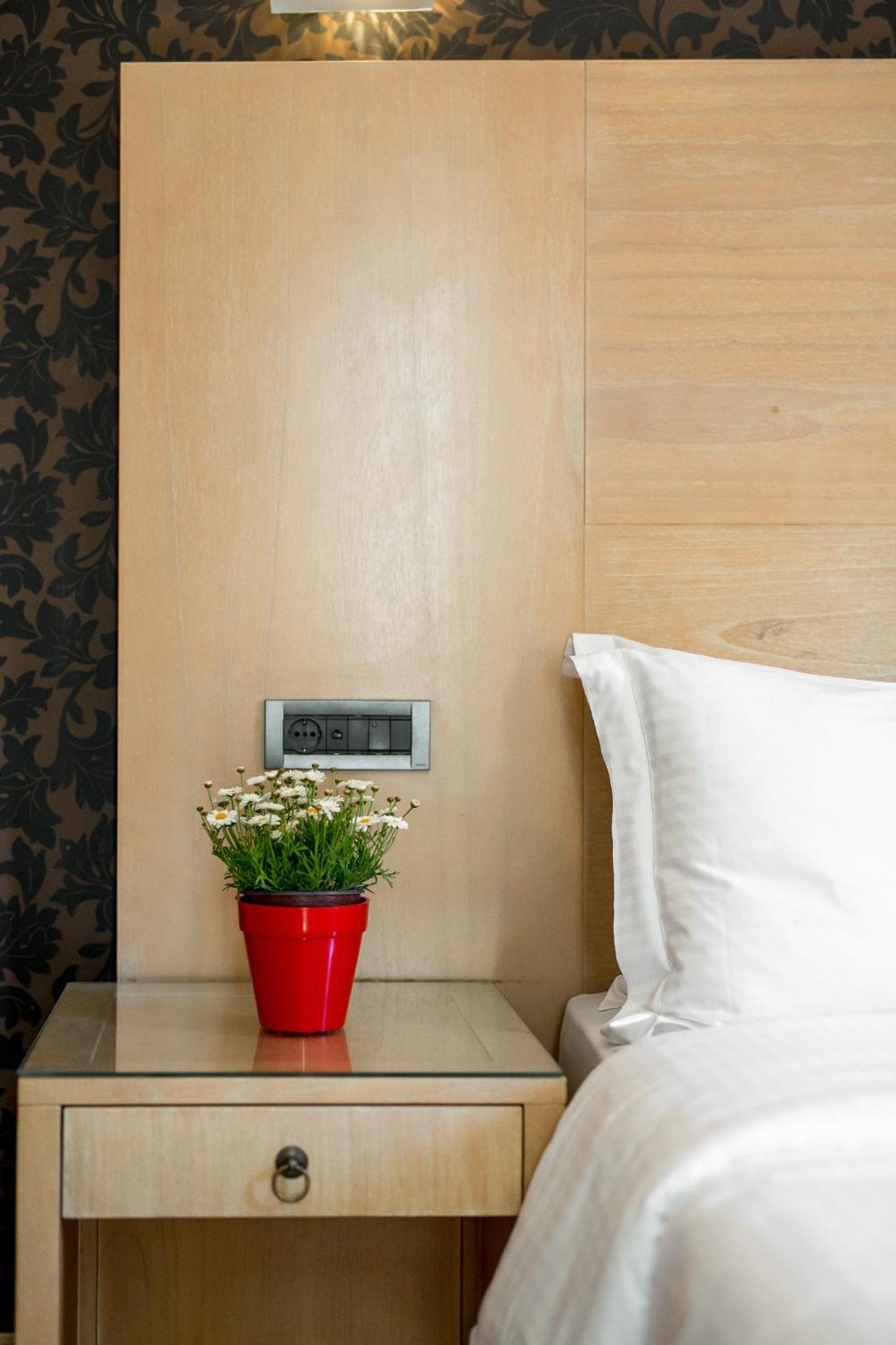 Single Room photo 1