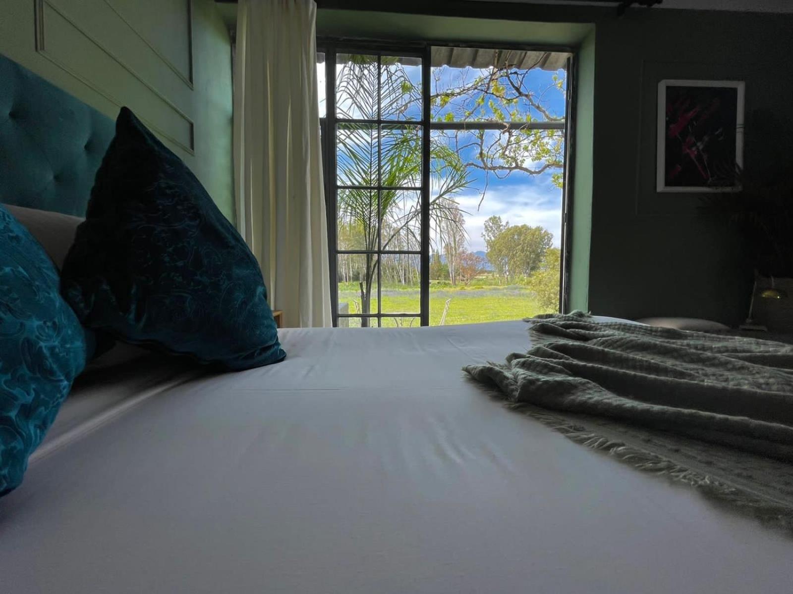 Deluxe King Room - Photo 2