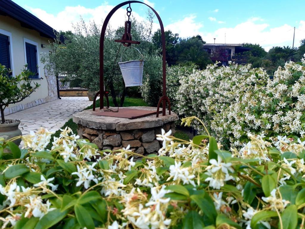 Standard Villa - Photo 6