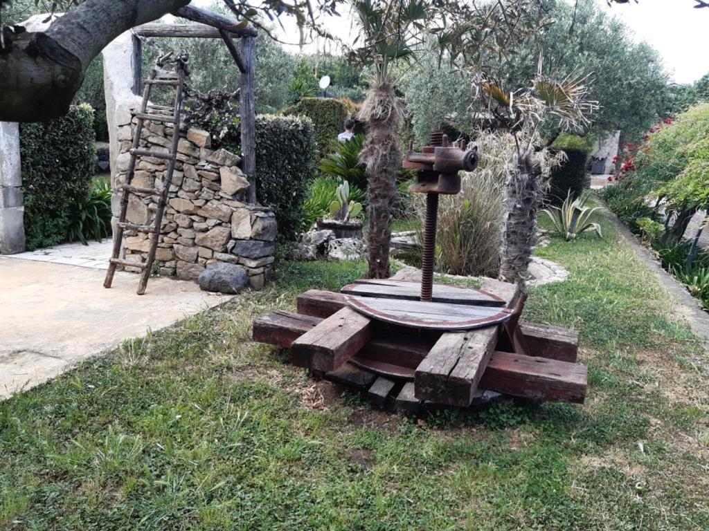 Standard Villa - Photo 12