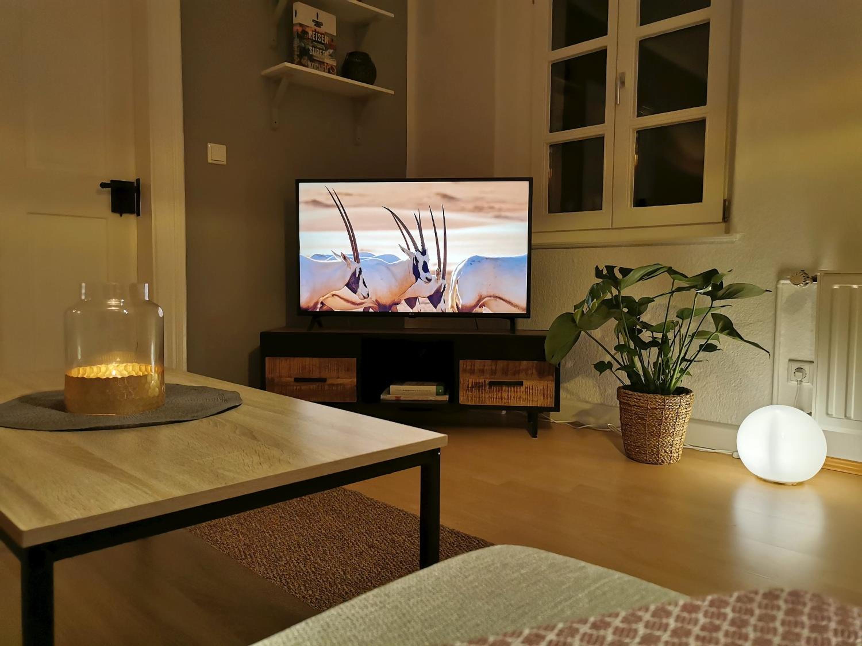 Apartment - Photo 18