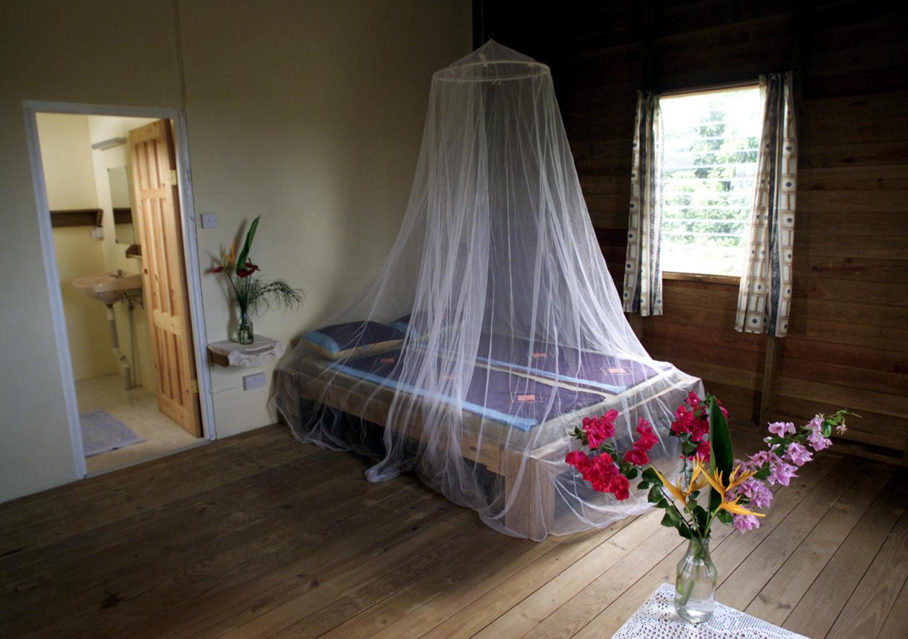 Double or Twin Room with Sea View photo 2