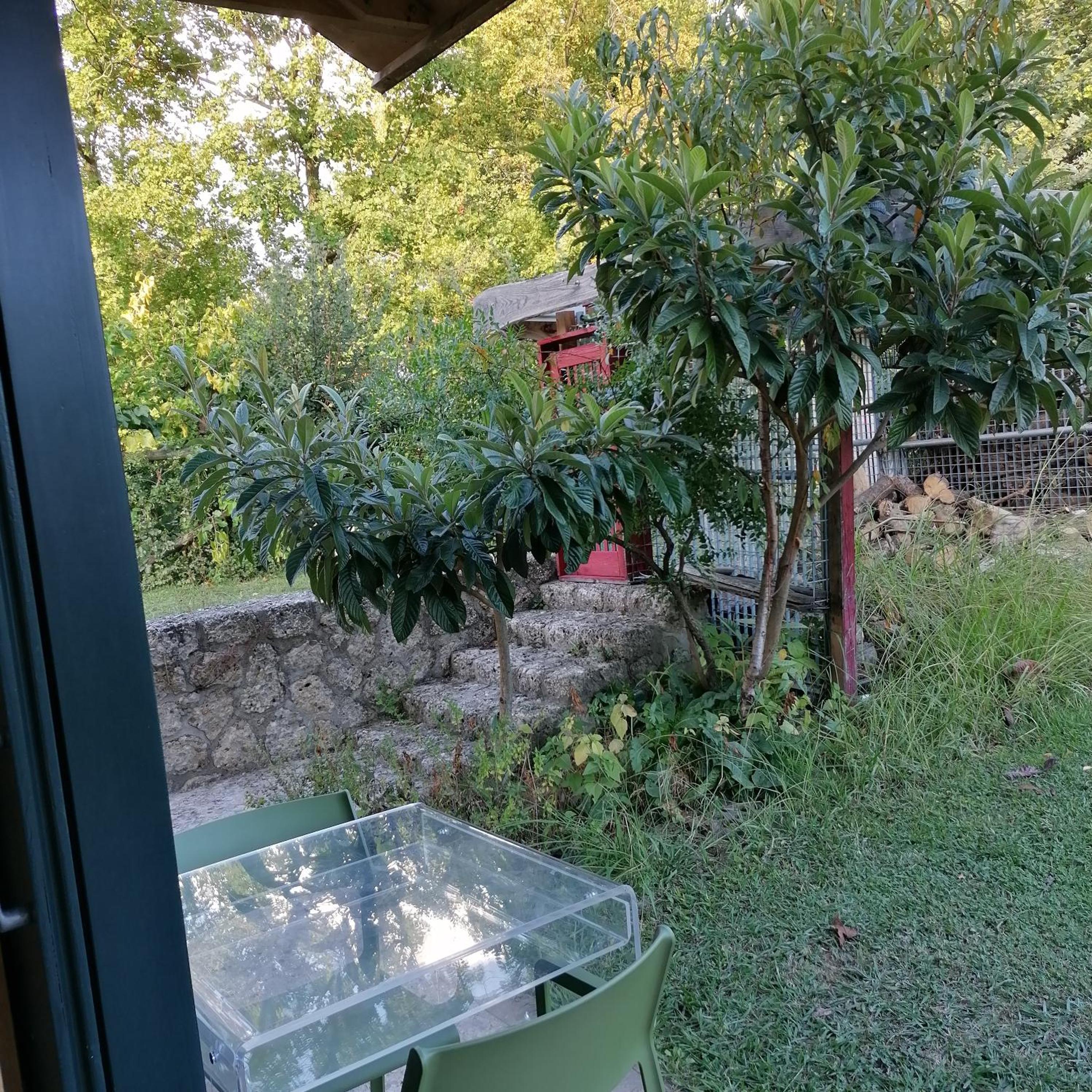 Studio with Garden View photo 3