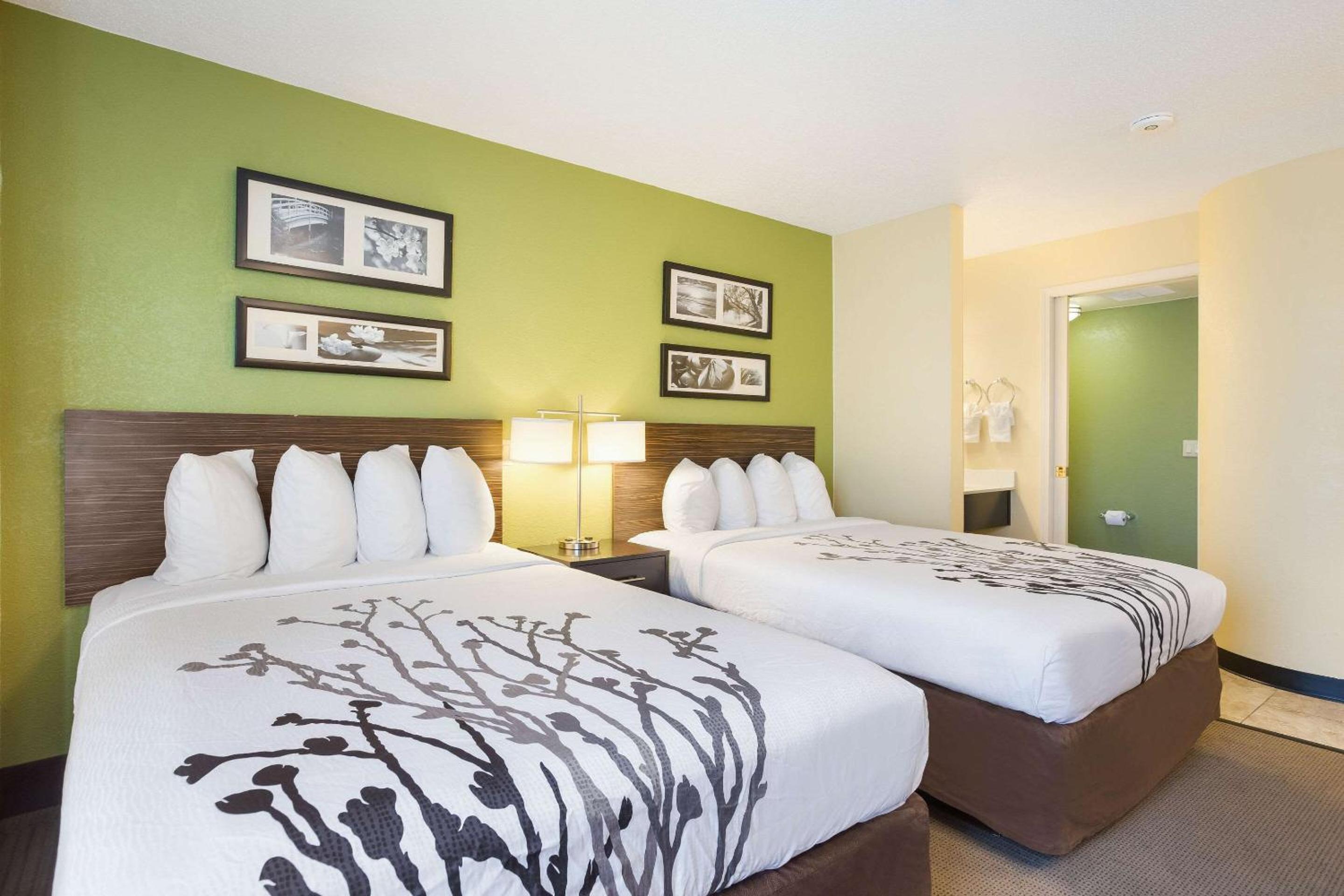 Double Room photo 3